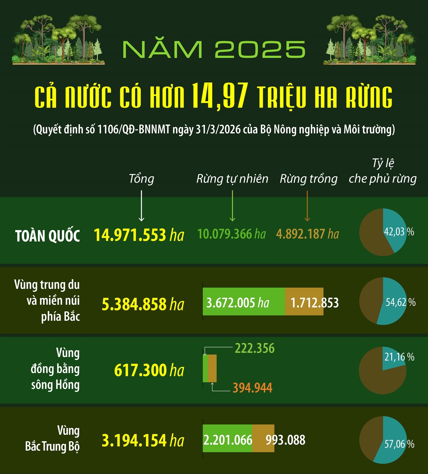 Năm 2025: Cả nước có hơn 14.97 triệu ha rừng