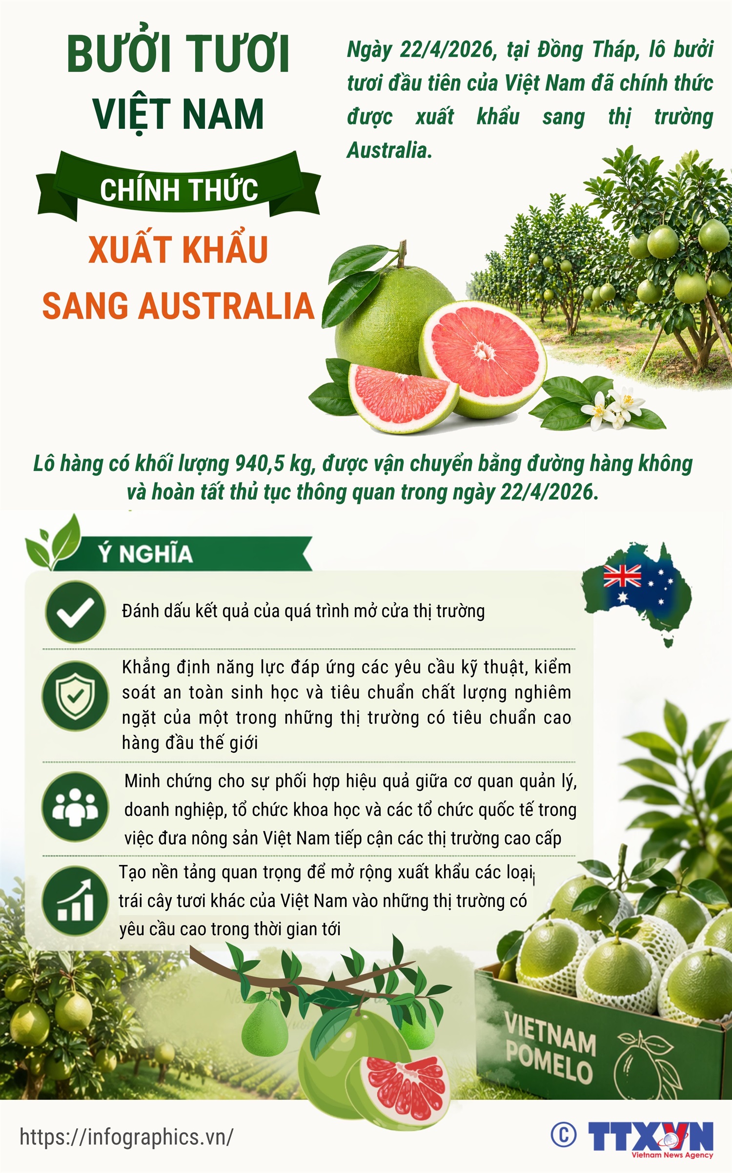 Bưởi tươi Việt Nam chính thức xuất khẩu sang Australia