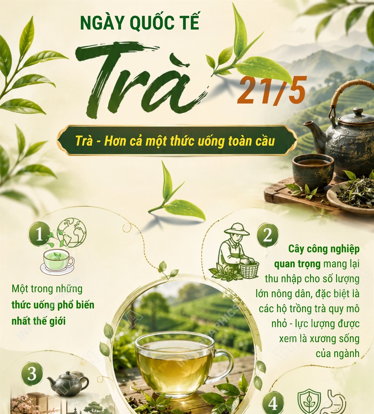 Trà - Hơn cả một thức uống toàn cầu