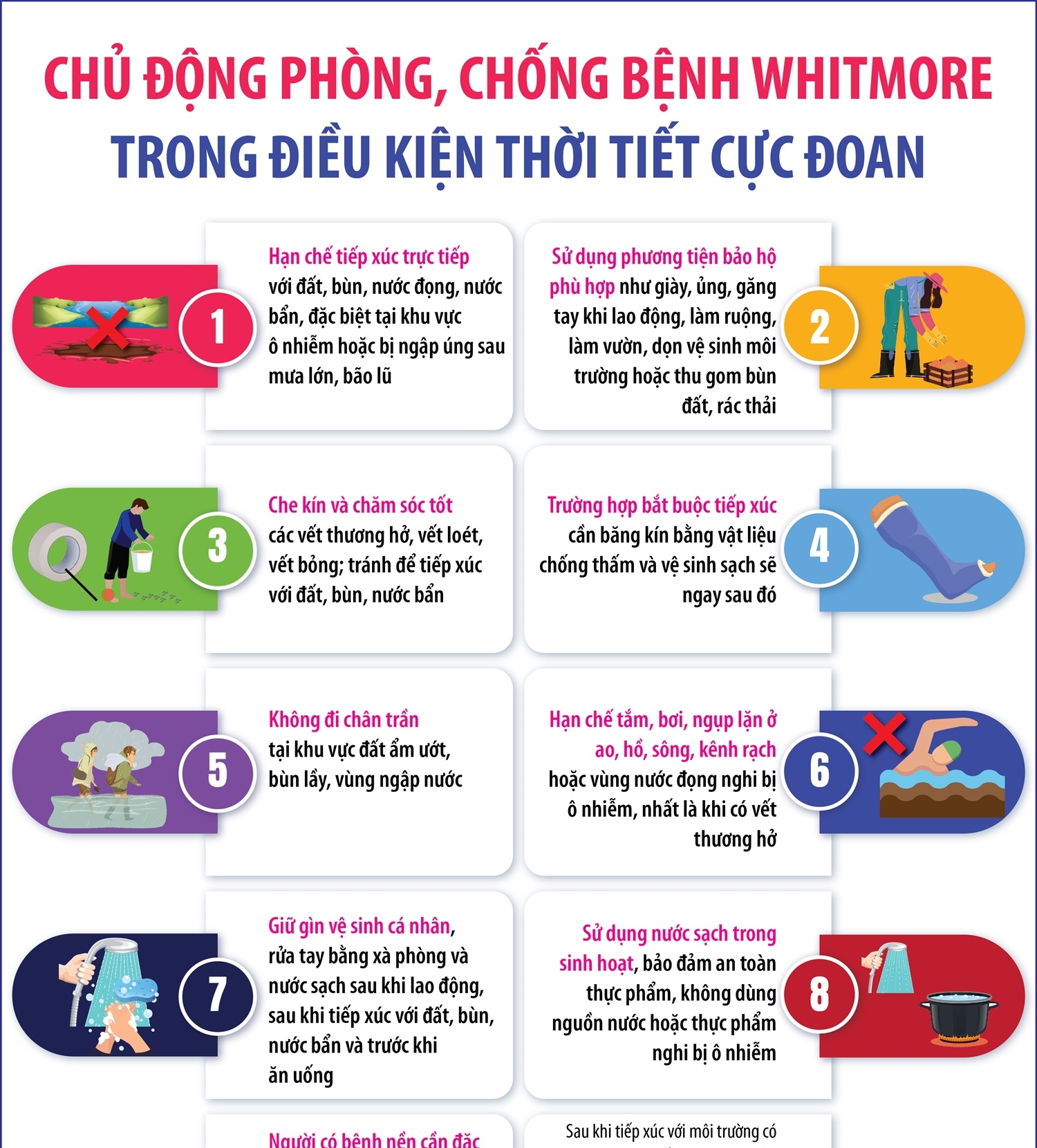 Chủ động phòng, chống bệnh Whitmore trong điều kiện thời tiết cực đoan
