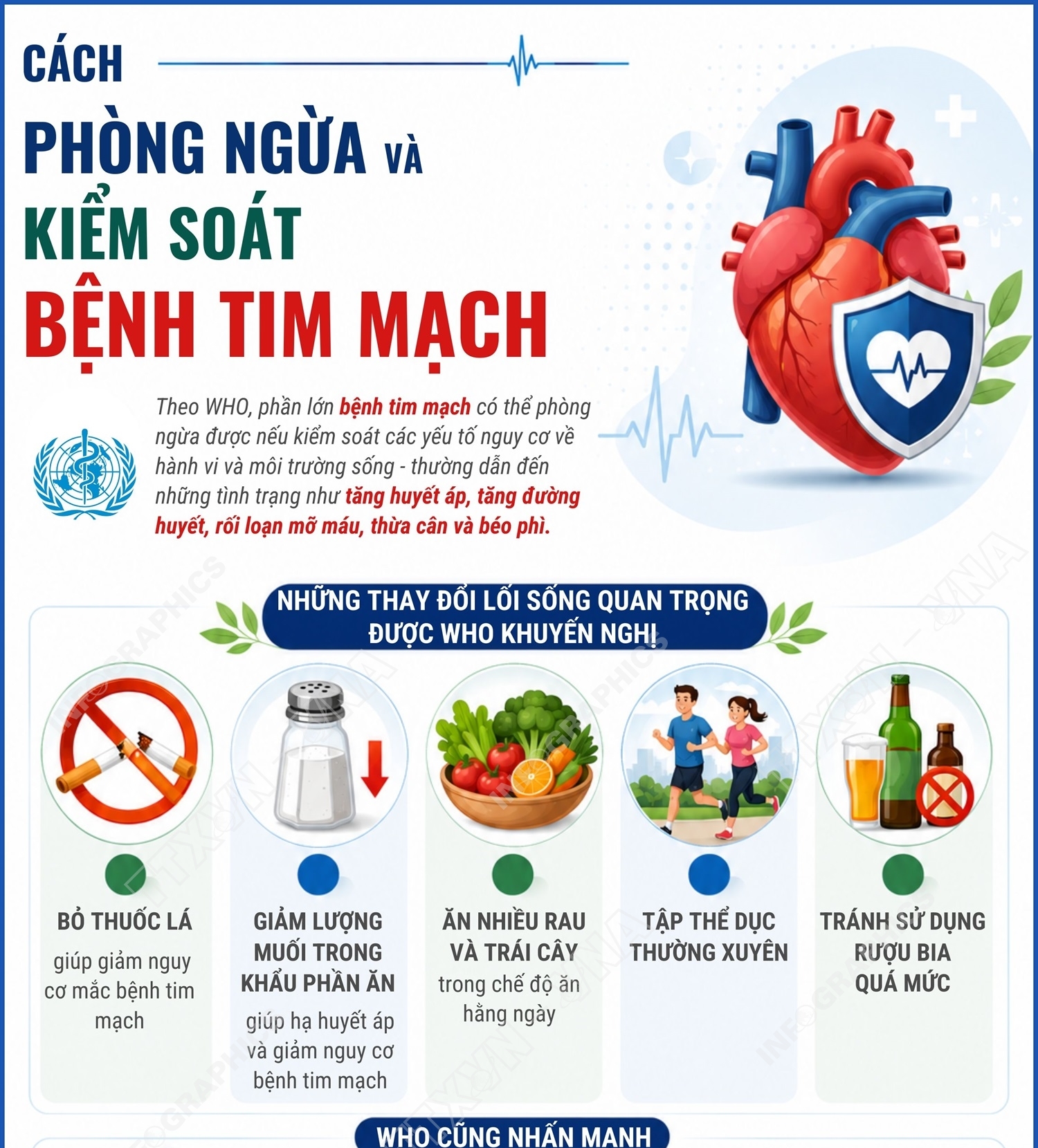 Cách phòng ngừa và kiểm soát bệnh tim mạch