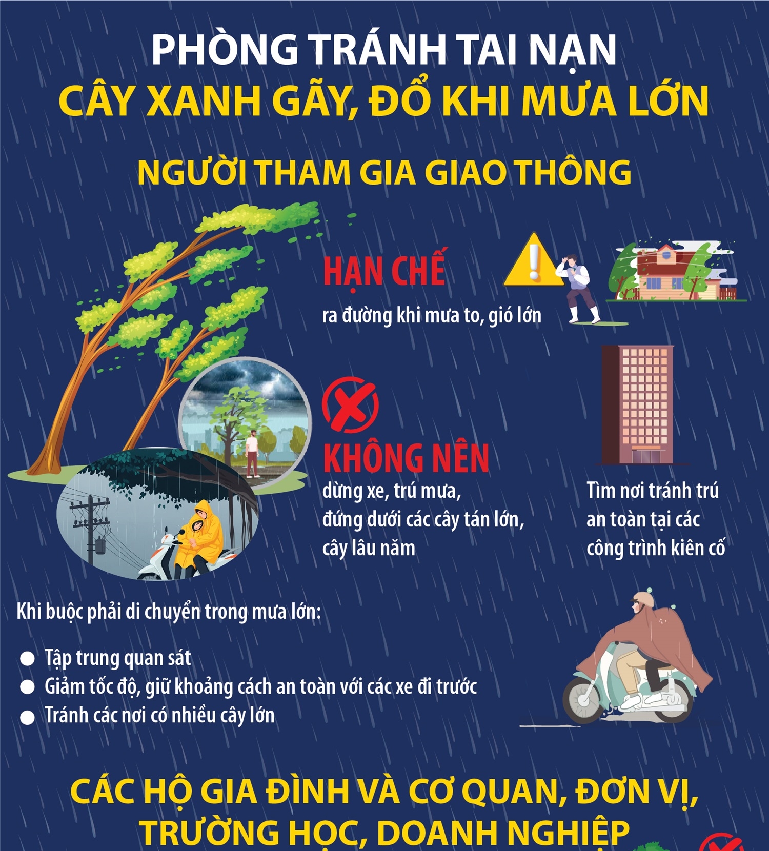 Phòng tránh tai nạn cây xanh gãy, đổ khi mưa lớn