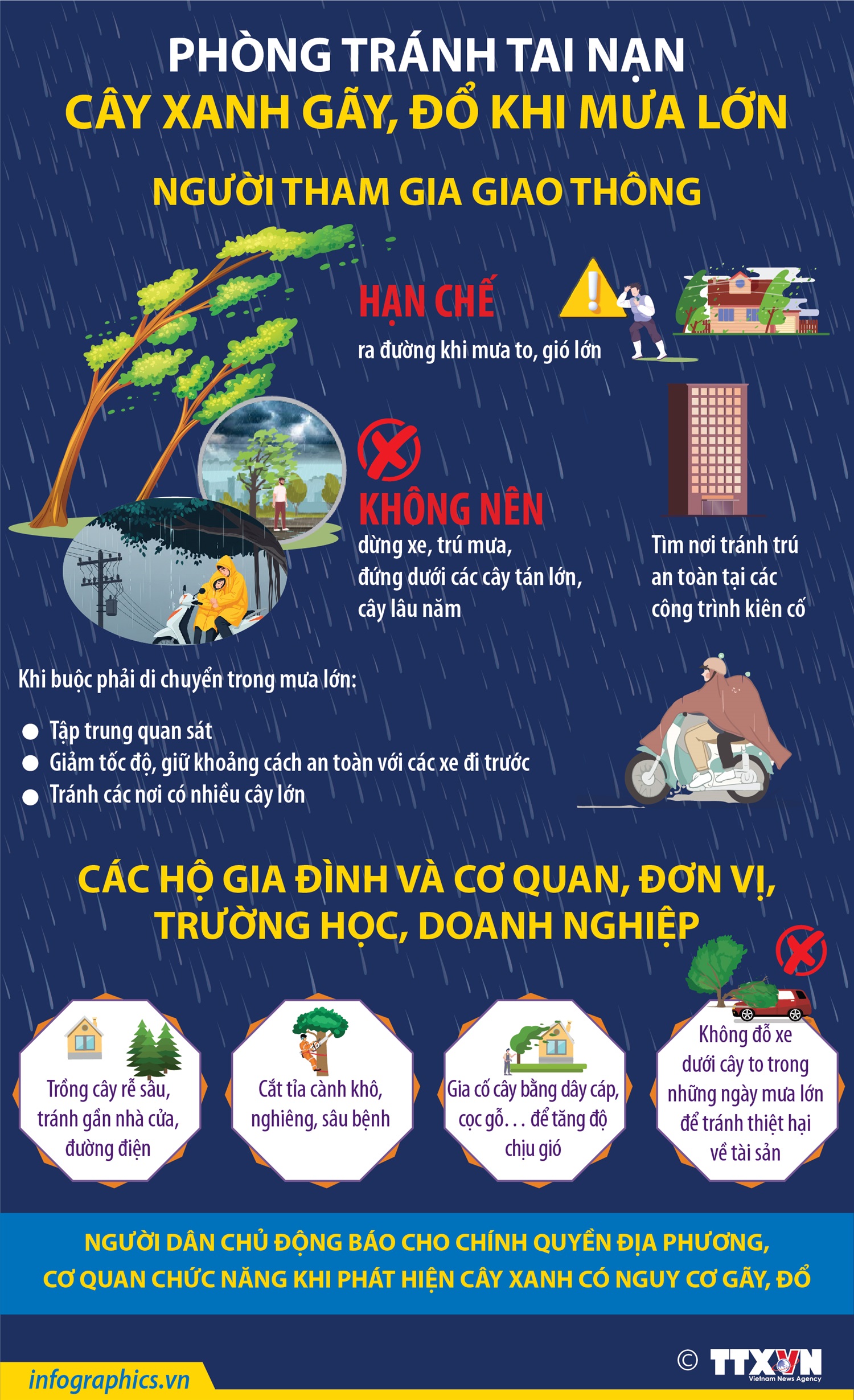 Phòng tránh tai nạn cây xanh gãy, đổ khi mưa lớn