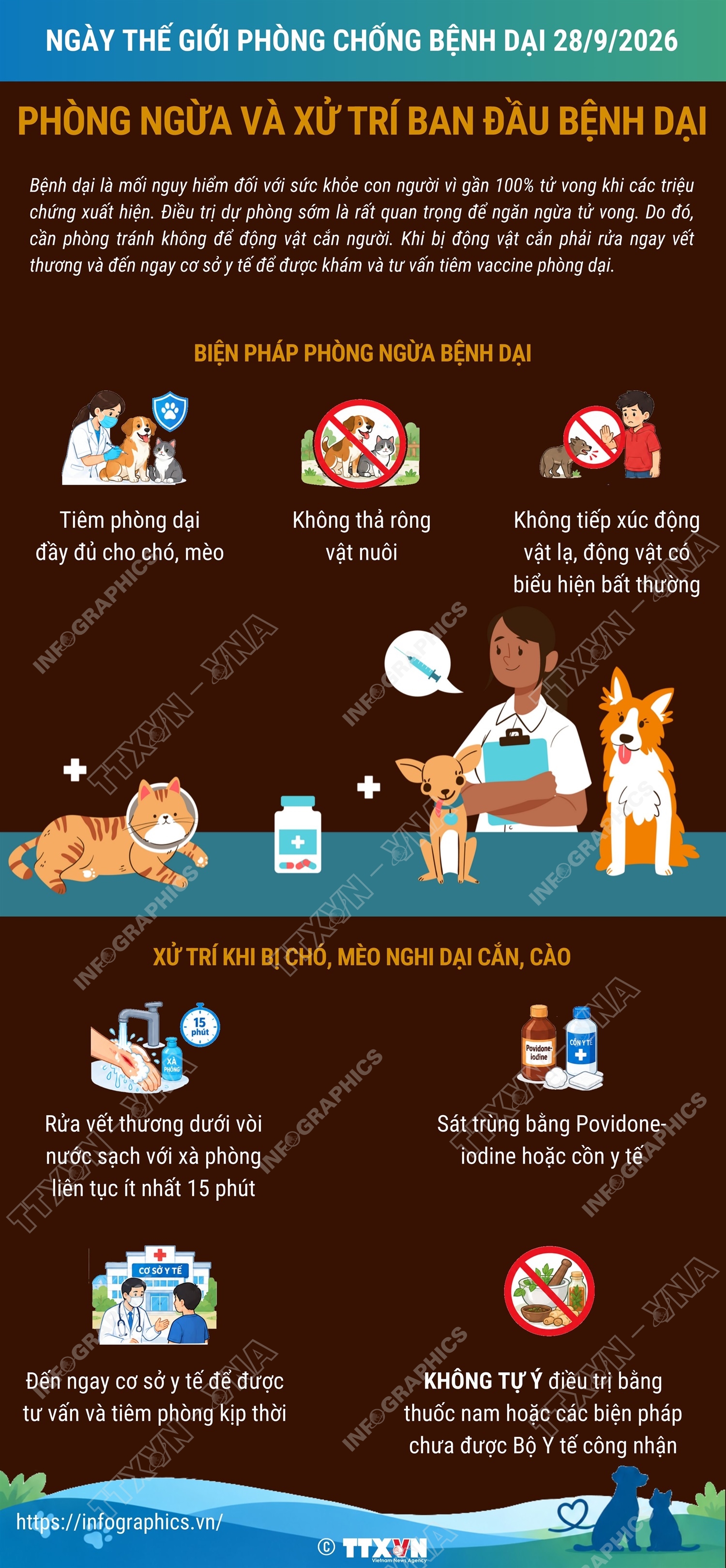 Phòng ngừa và xử trí ban đầu bệnh dại