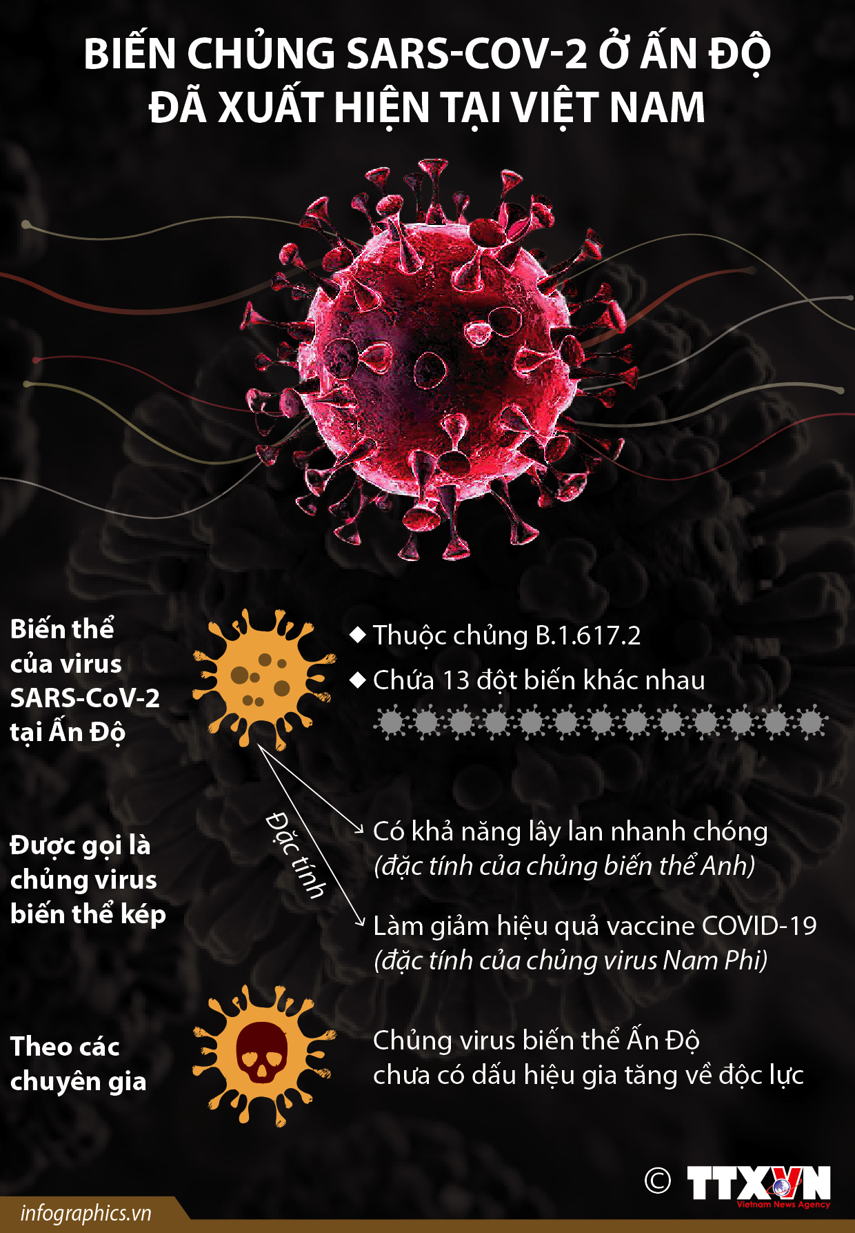 Biến chủng SARS-CoV-2 ở Ấn Độ đã xuất hiện tại Việt Nam