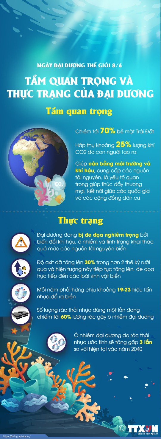 Ngày Đại dương thế giới 8/6: Tầm quan trọng và thực trạng của đại dương