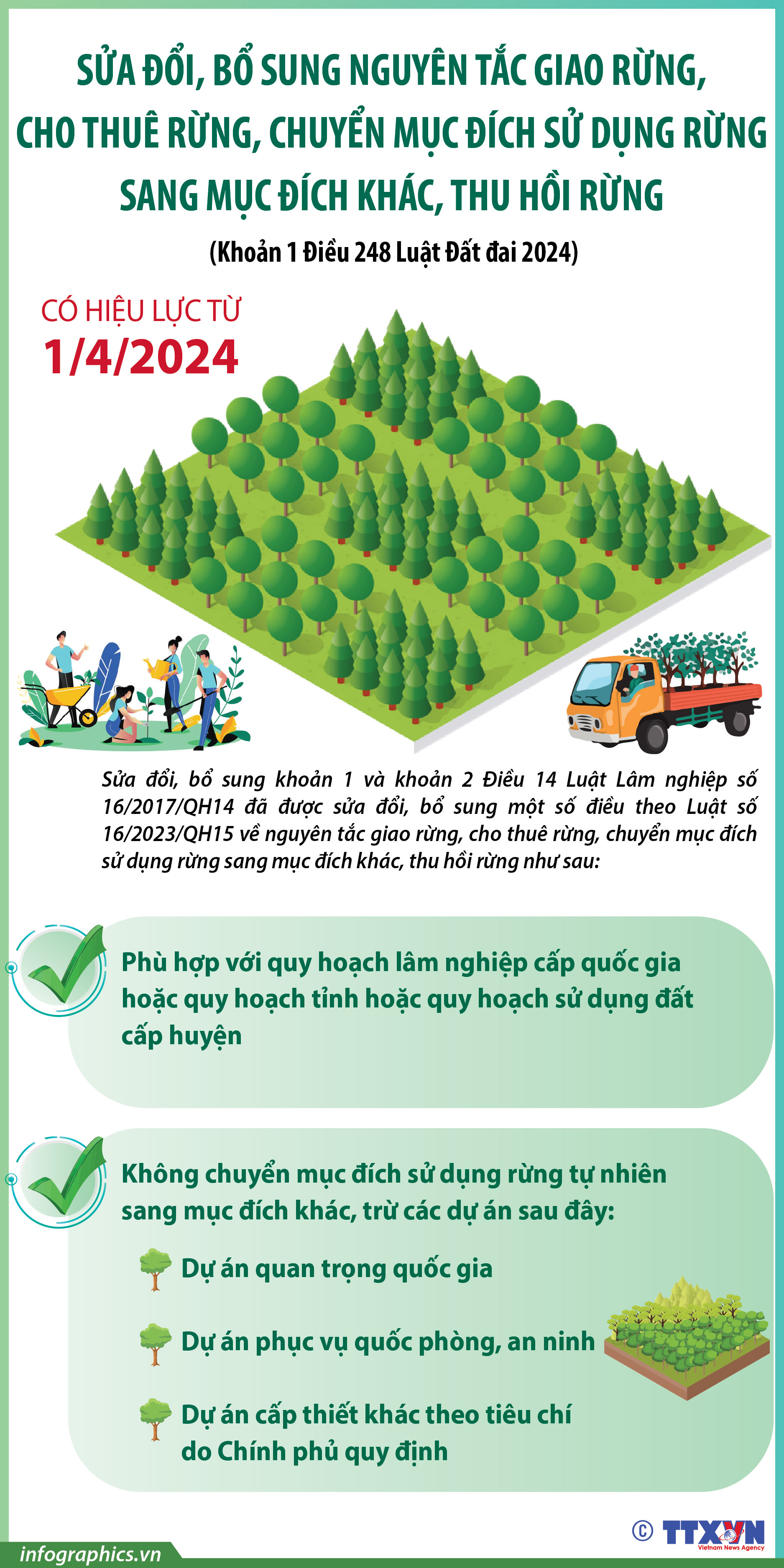 Sửa đổi, bổ sung nguyên tắc giao rừng, cho thuê rừng, chuyển mục đích sử...