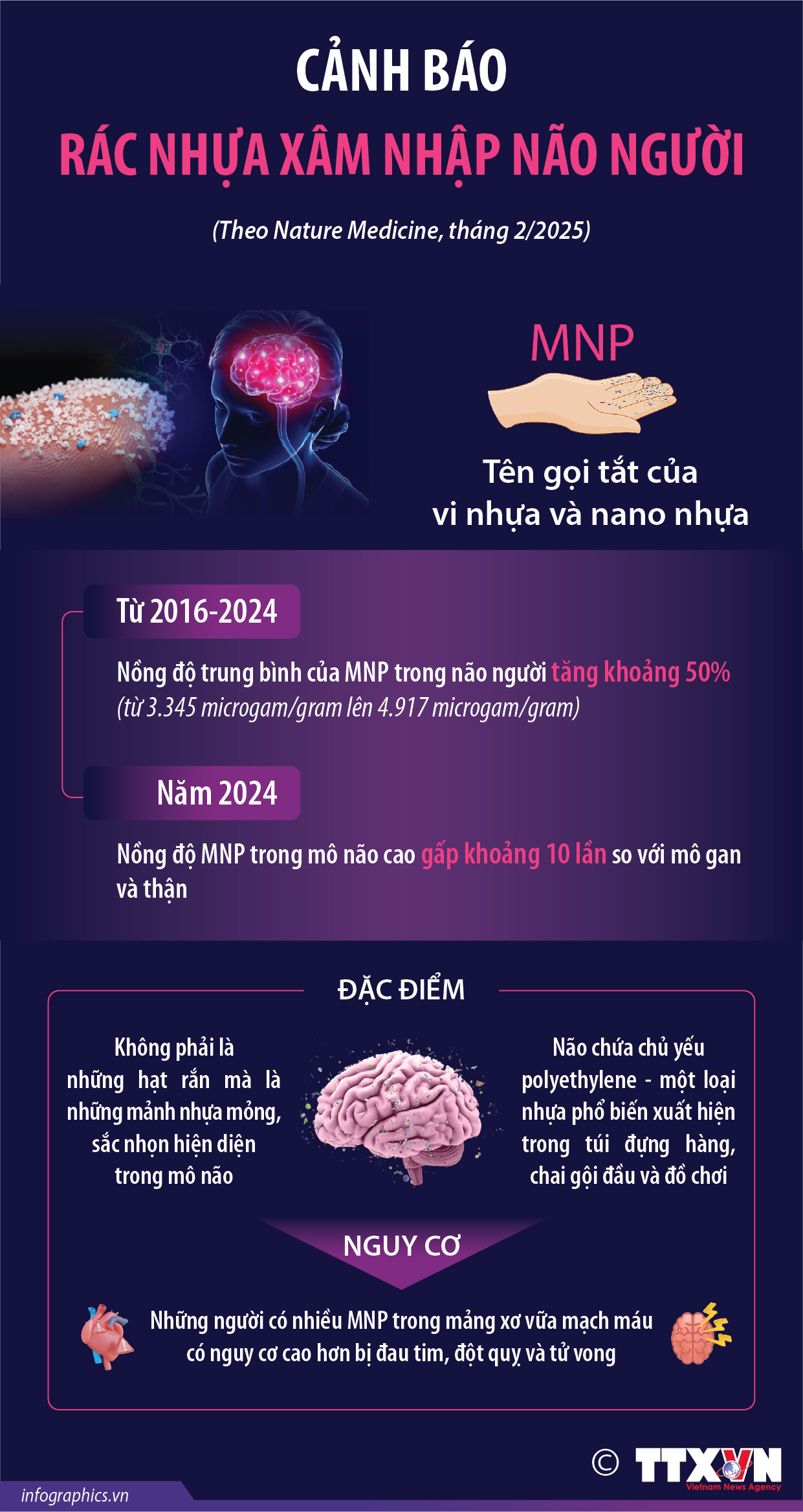 Cảnh báo rác nhựa xâm nhập não người