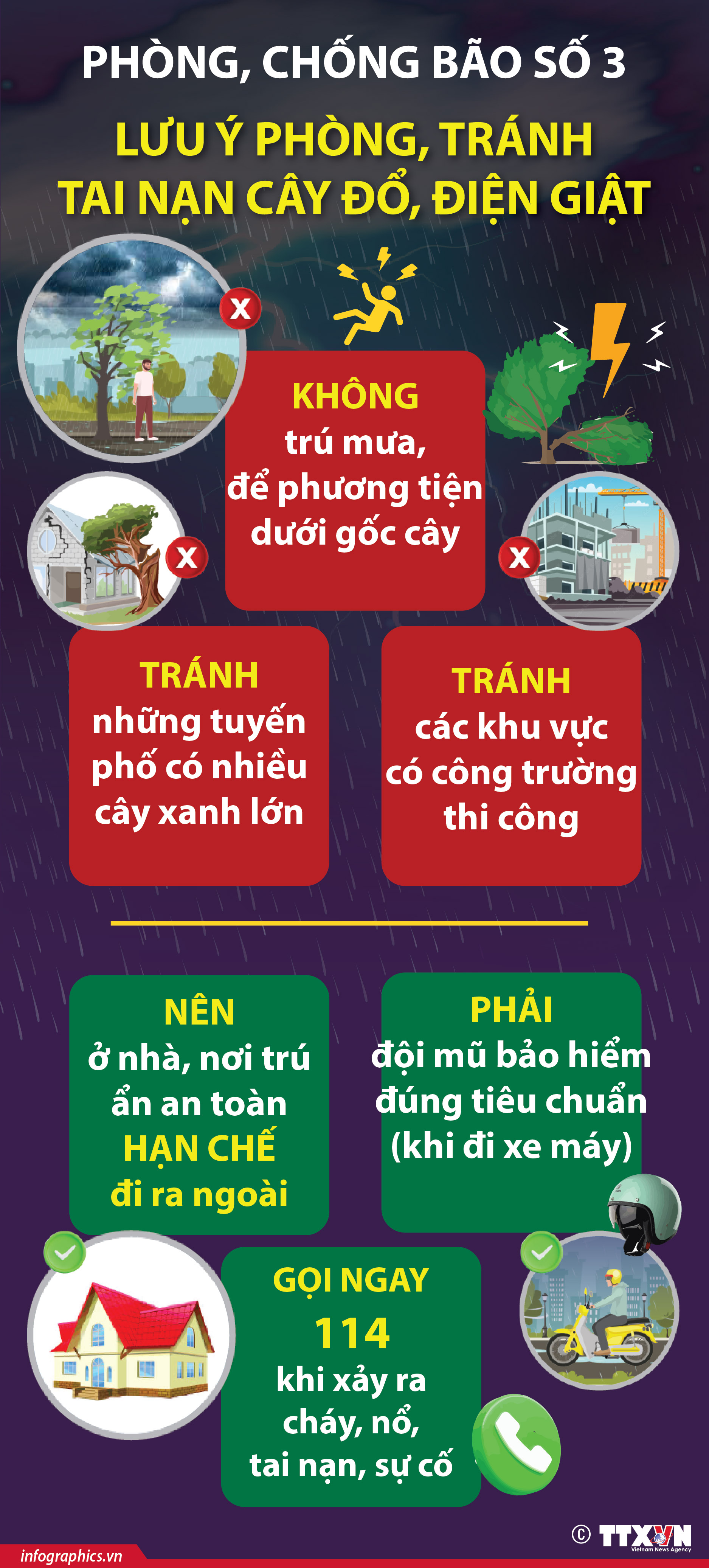 Phòng, chống bão số 3: Những lưu ý phòng, tránh tai nạn cây đổ, điện...