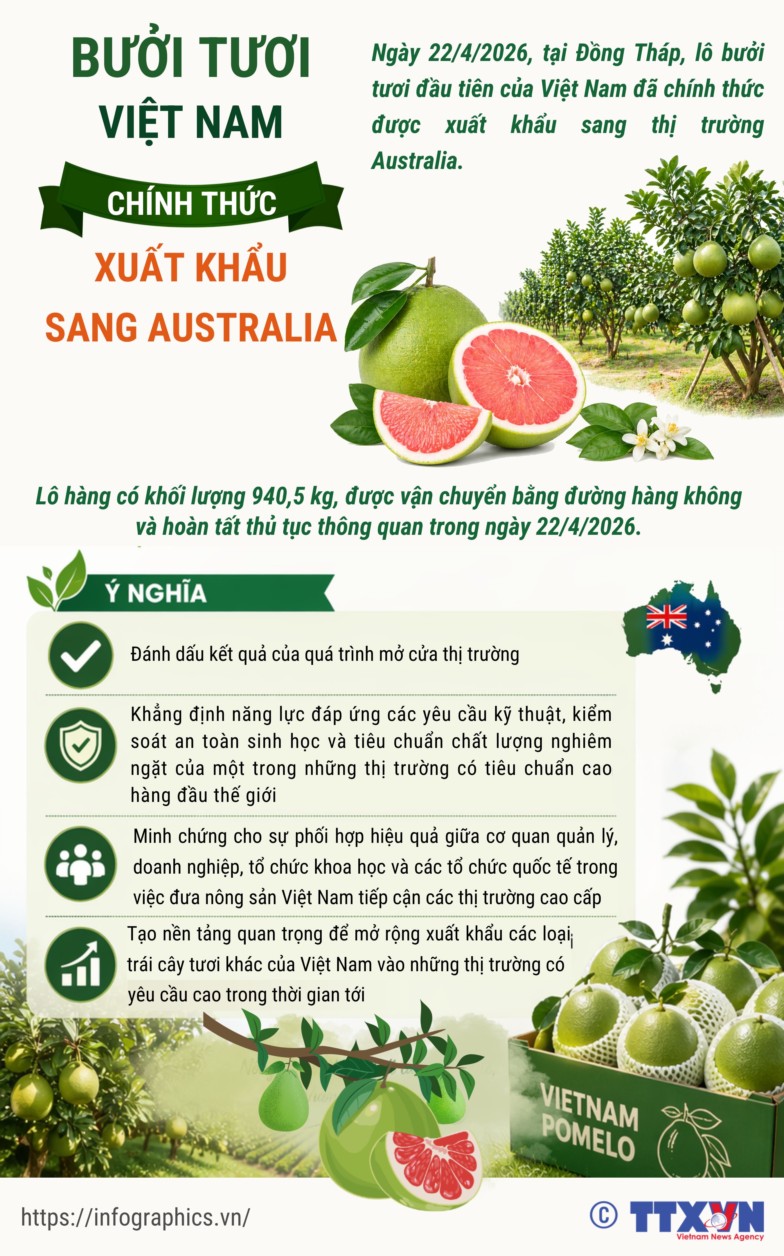 Bưởi tươi Việt Nam chính thức xuất khẩu sang Australia