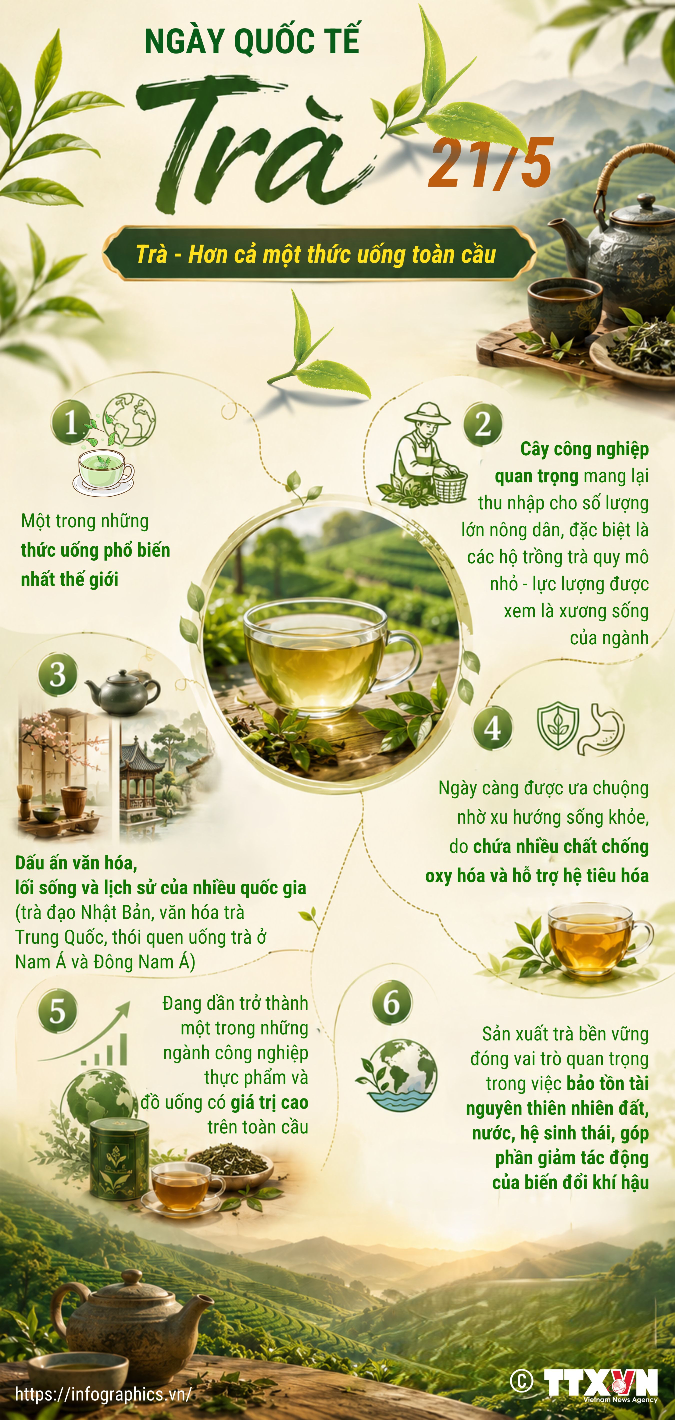 Trà - Hơn cả một thức uống toàn cầu