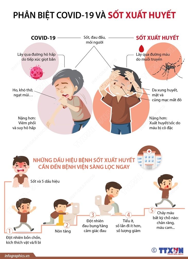 Phân biệt COVID-19 và sốt xuất huyết