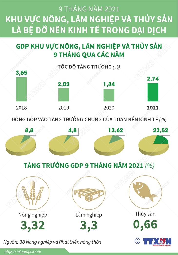 9 tháng năm 2021: Khu vực nông, lâm nghiệp và thủy sản là bệ đỡ nền kinh tế trong đại dịch