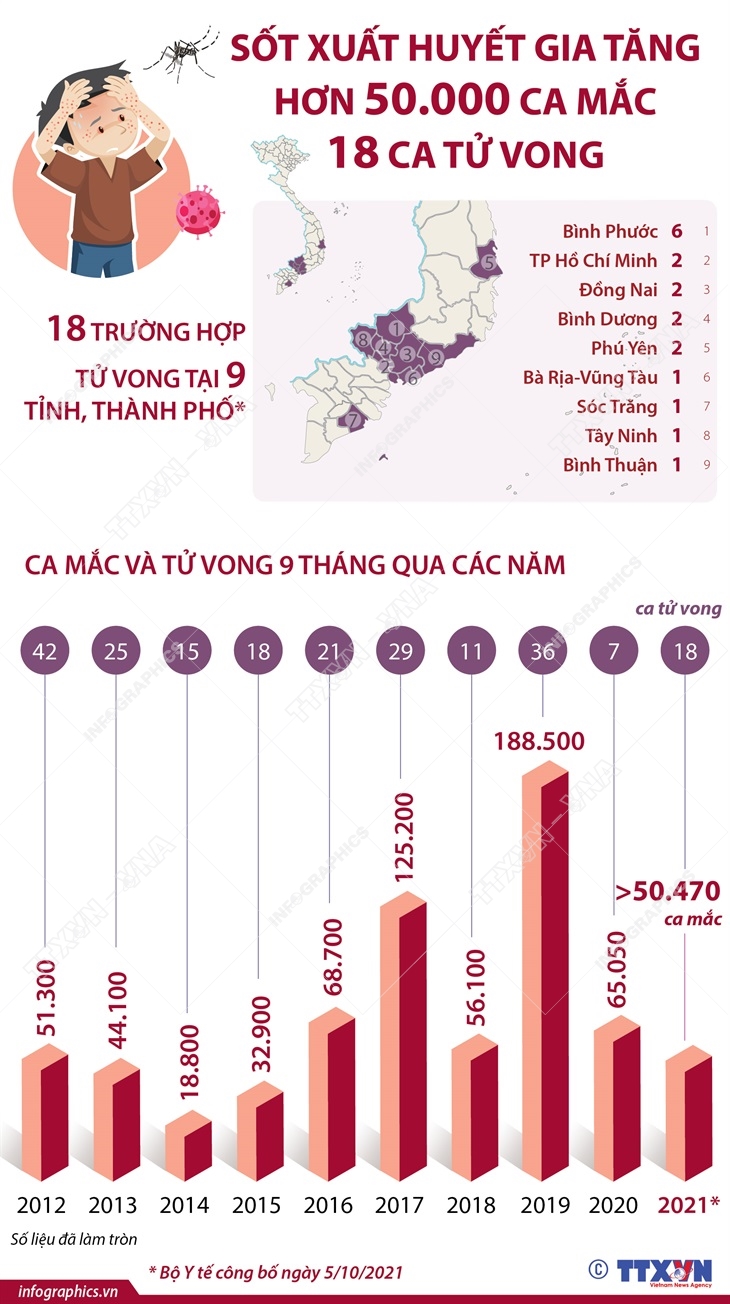 Số Ca Tử Vong Sốt Xuất Huyết: Tình Hình Cập Nhật Mới Nhất Và Các Biện Pháp Phòng Ngừa