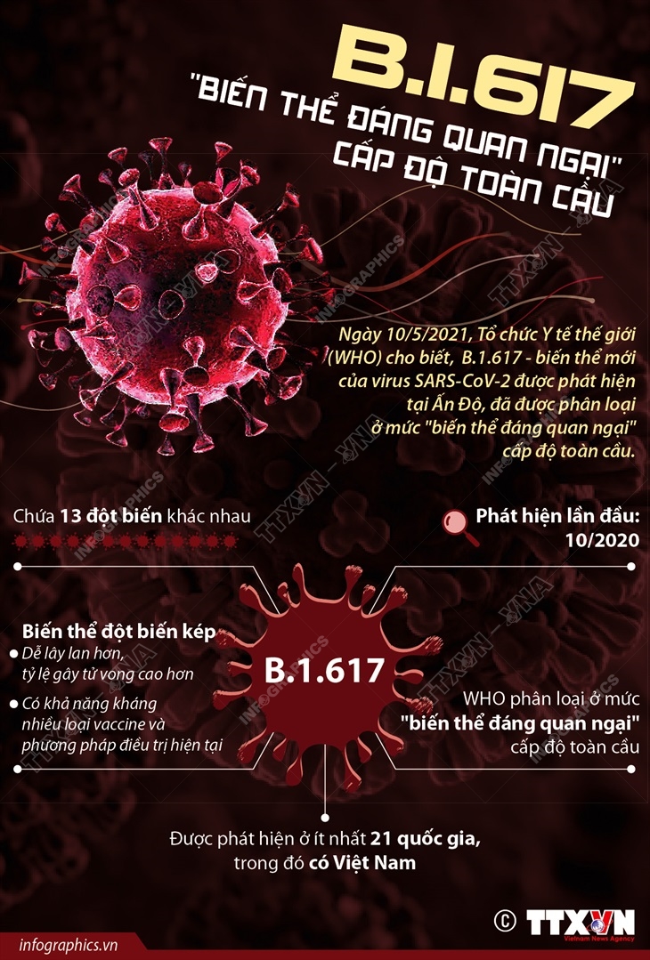 B.1.617 là
