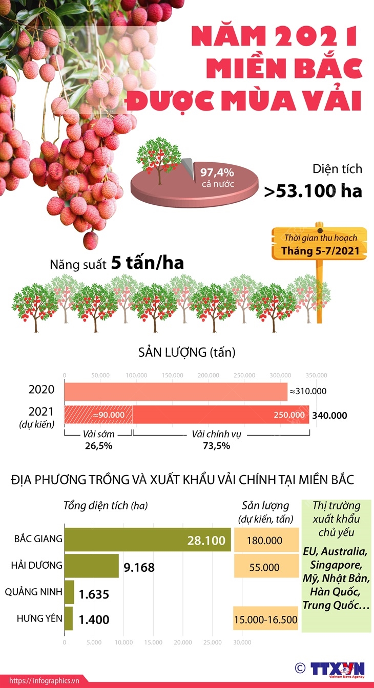Năm 2021, miền Bắc được mùa vải