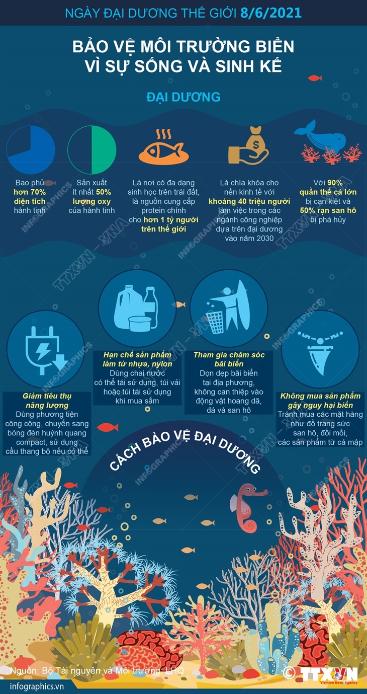 Ngày Đại dương thế giới 8/6/2021: Bảo vệ môi trường biển vì sự sống và sinh kế