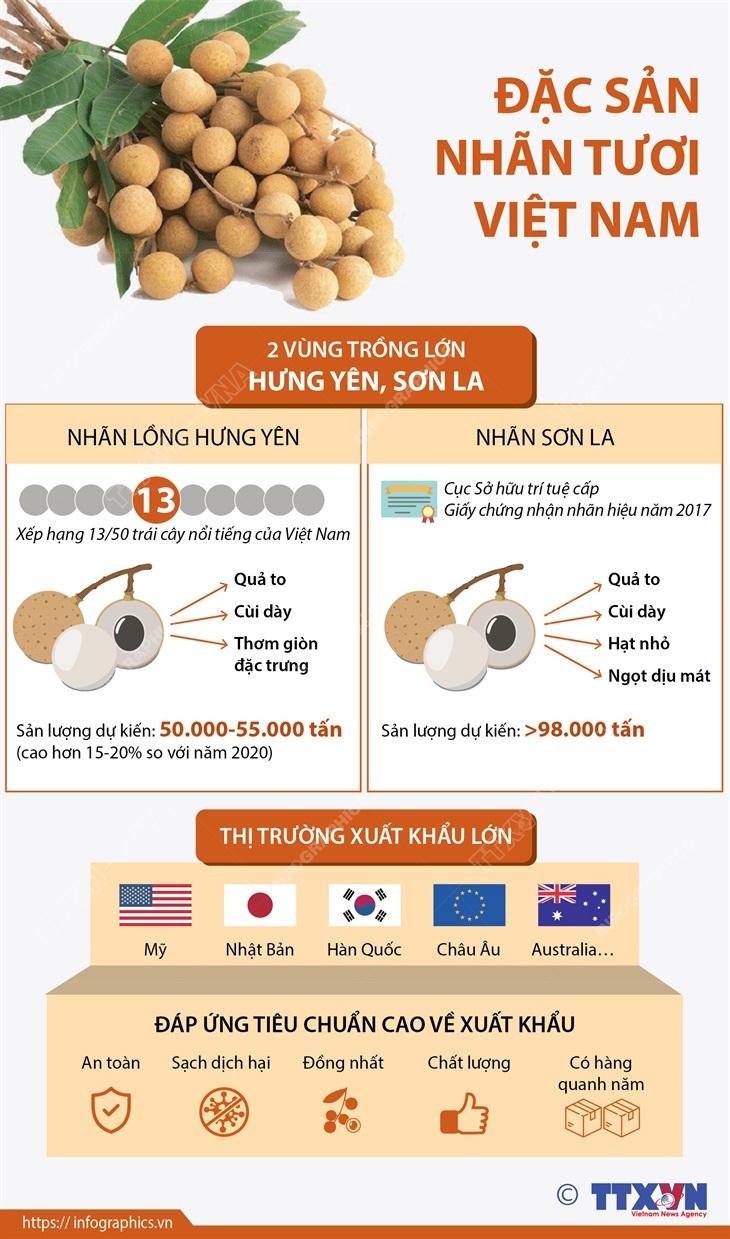 Đặc sản nhãn tươi Việt Nam