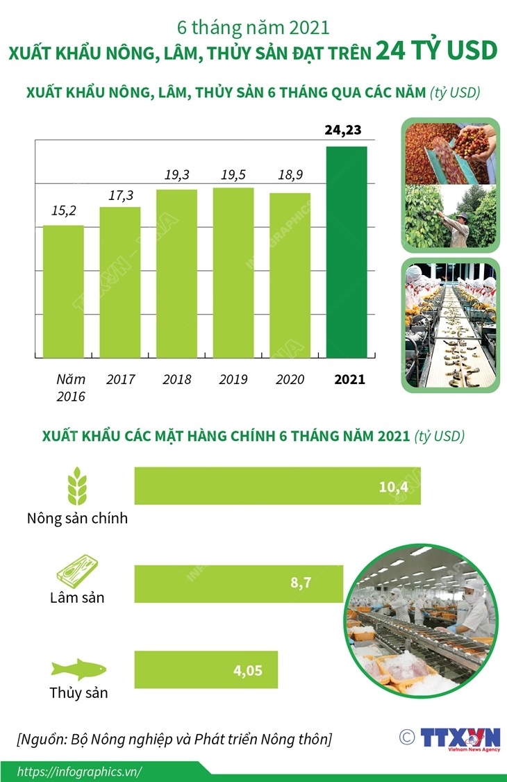 6 tháng năm 2021: Xuất khẩu nông, lâm, thủy sản đạt trên 24 tỷ USD
