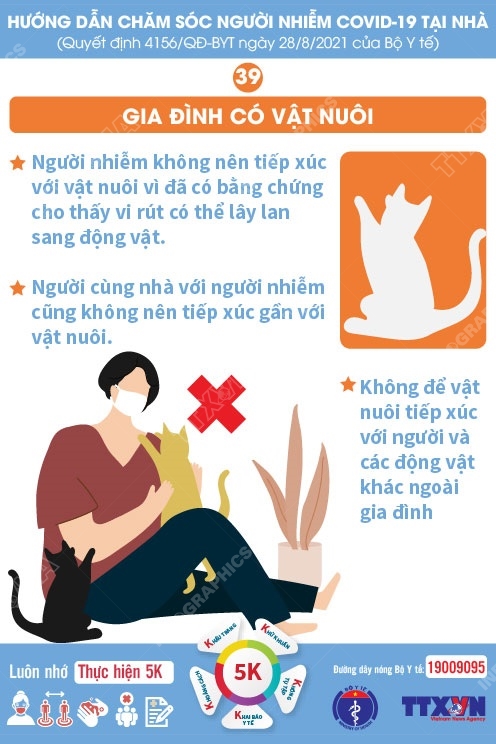 Người nhiễm COVID-19 điều trị tại nhà không nên tiếp xúc với vật nuôi