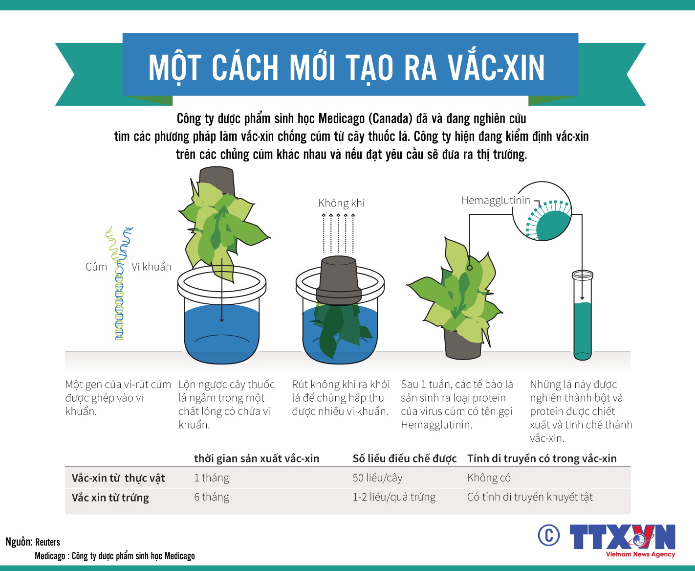 VẮC XIN ĐÓNG VAI TRÒ THEN CHỐT TRONG VIỆC BẢO VỆ SỨC KHỎE CỘNG ĐỒNG