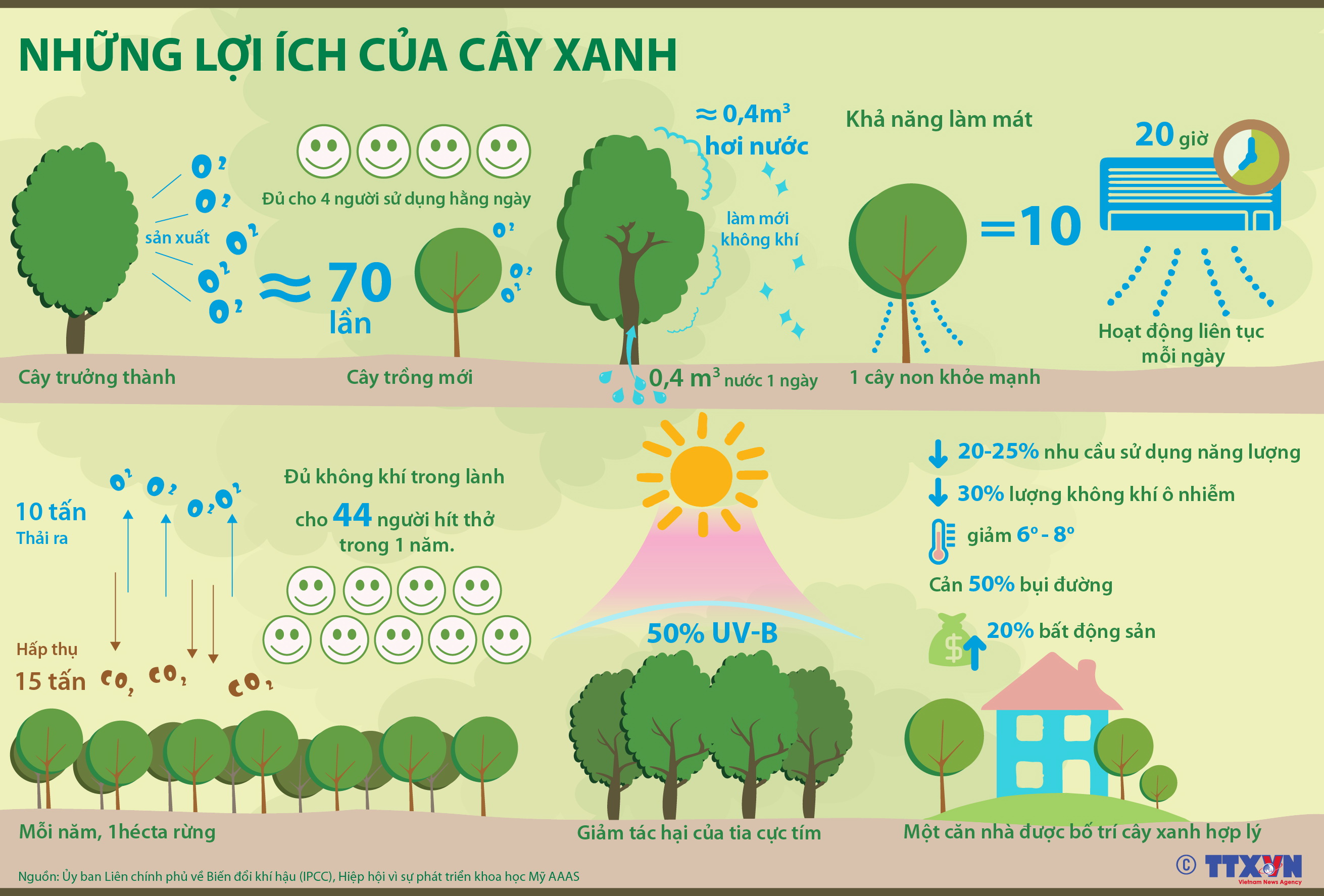 Lợi Ích Của Cây Xanh: Tạo Dựng Cuộc Sống Bền Vững Cho Môi Trường và Con Người