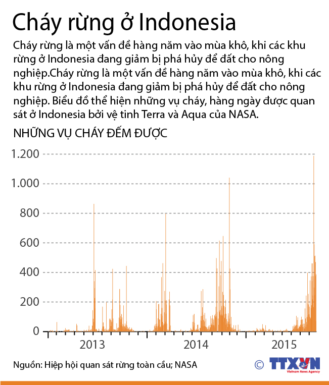 Cháy rừng ở Indonesia