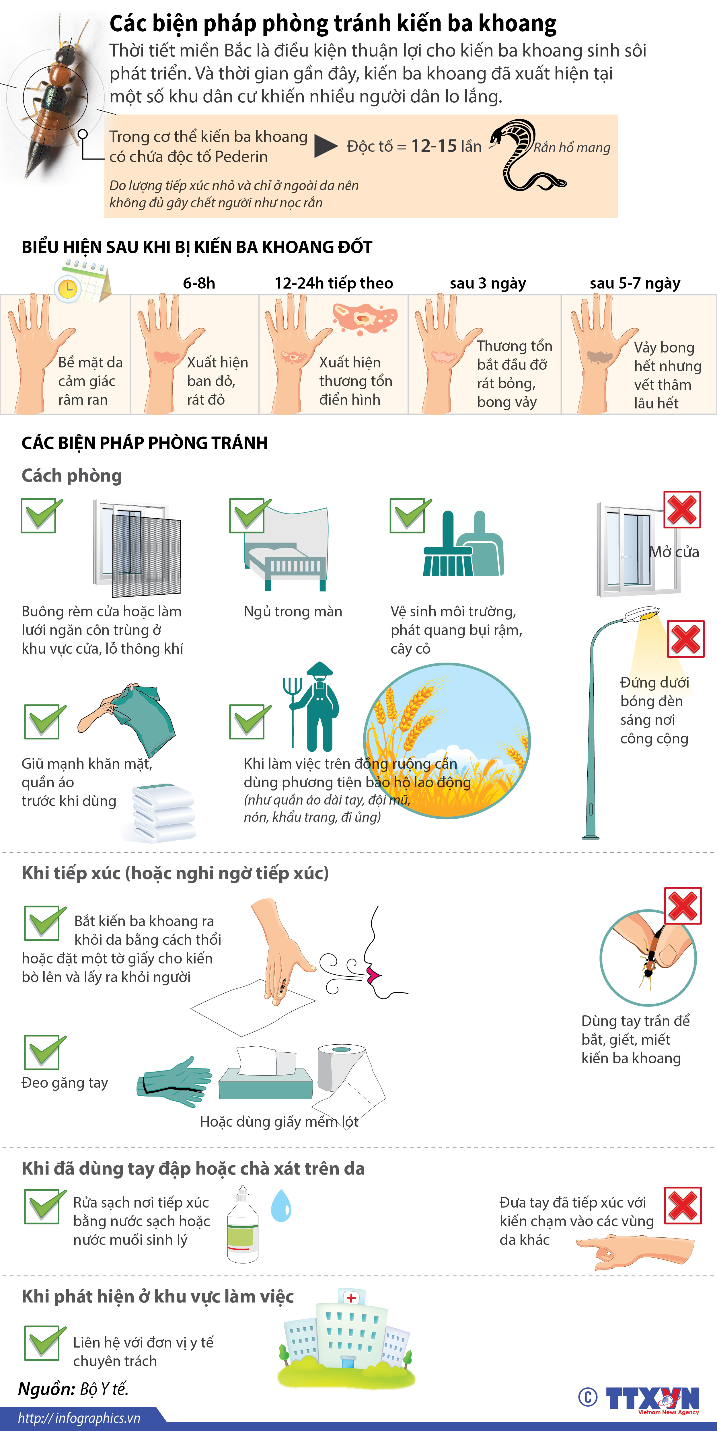 Các biện pháp phòng tránh kiến ba khoang