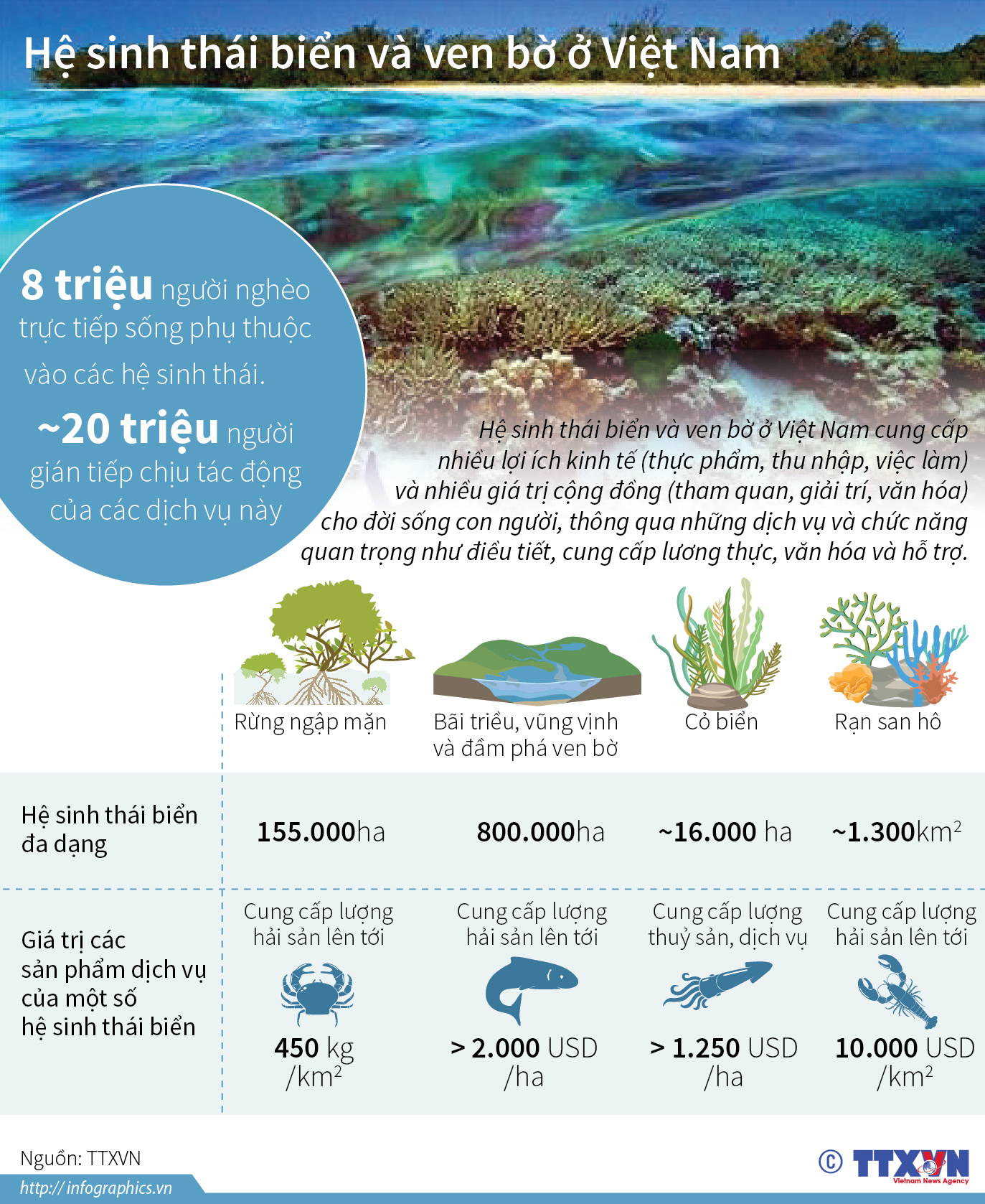 Hệ sinh thái biển và ven bờ ở Việt Nam