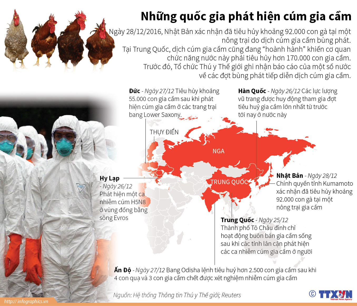 Những quốc gia phát hiện cúm gia cầm