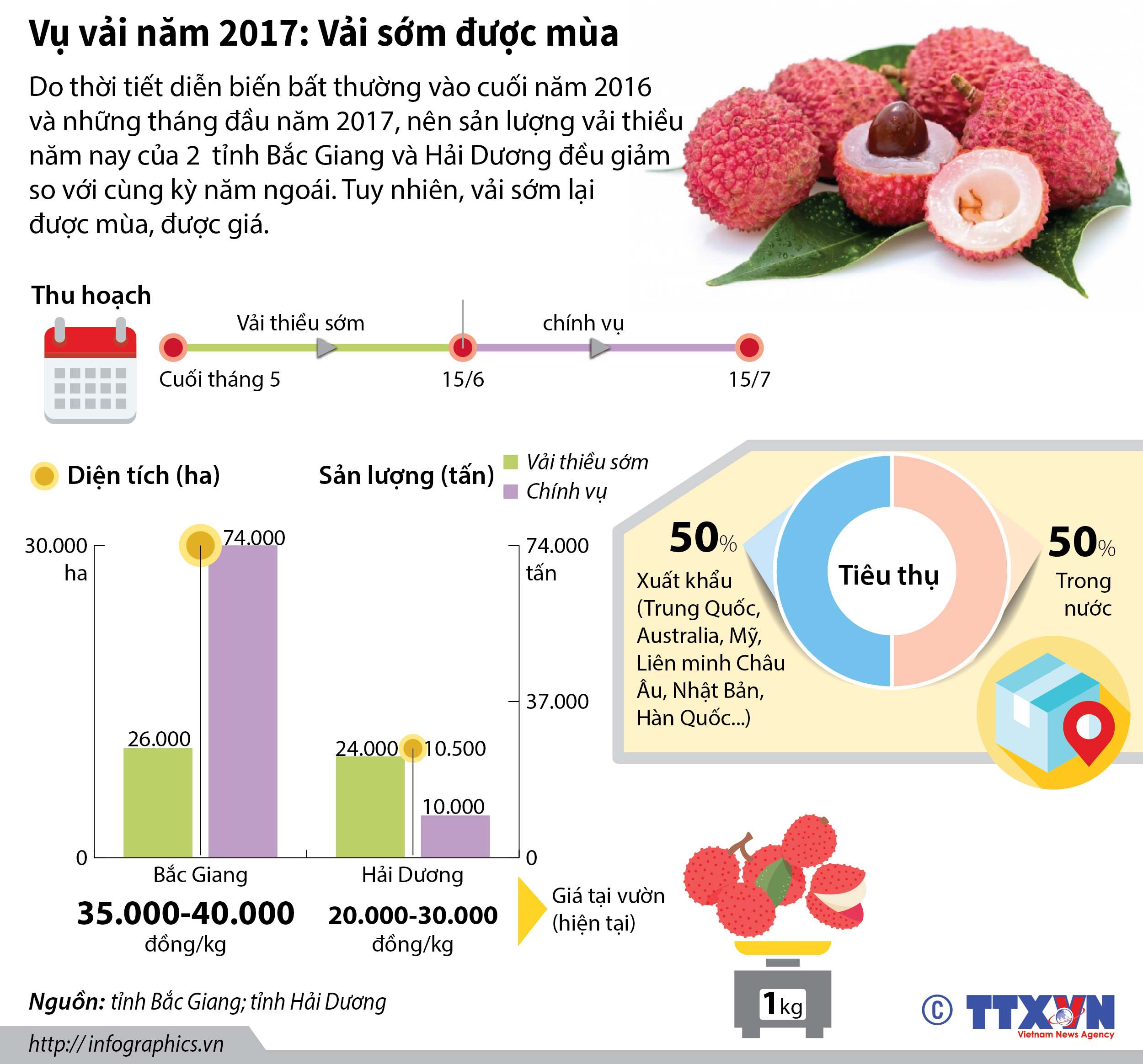 Vụ vải năm 2017: Vải sớm được mùa