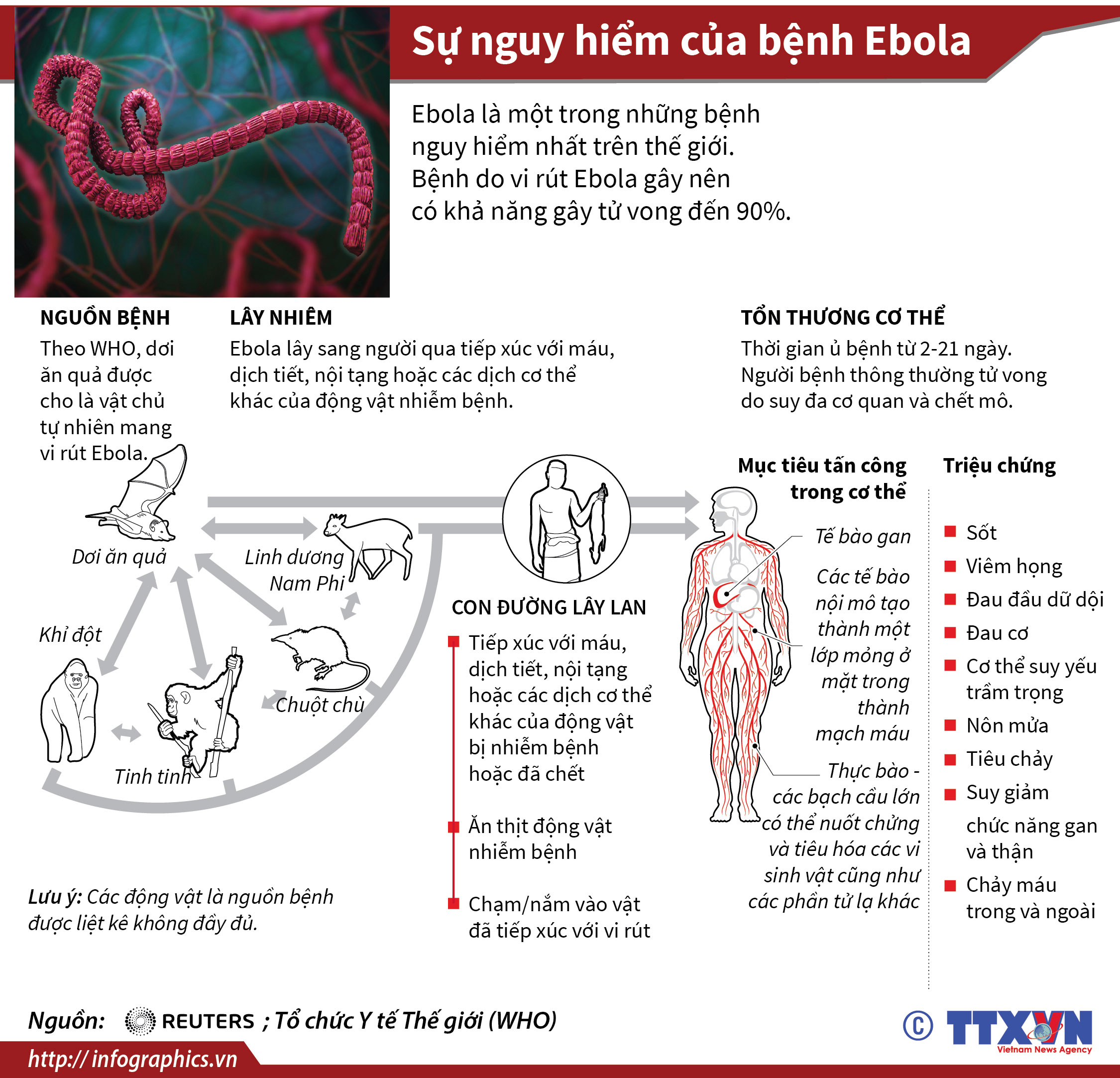 Sự nguy hiểm của bệnh Ebola