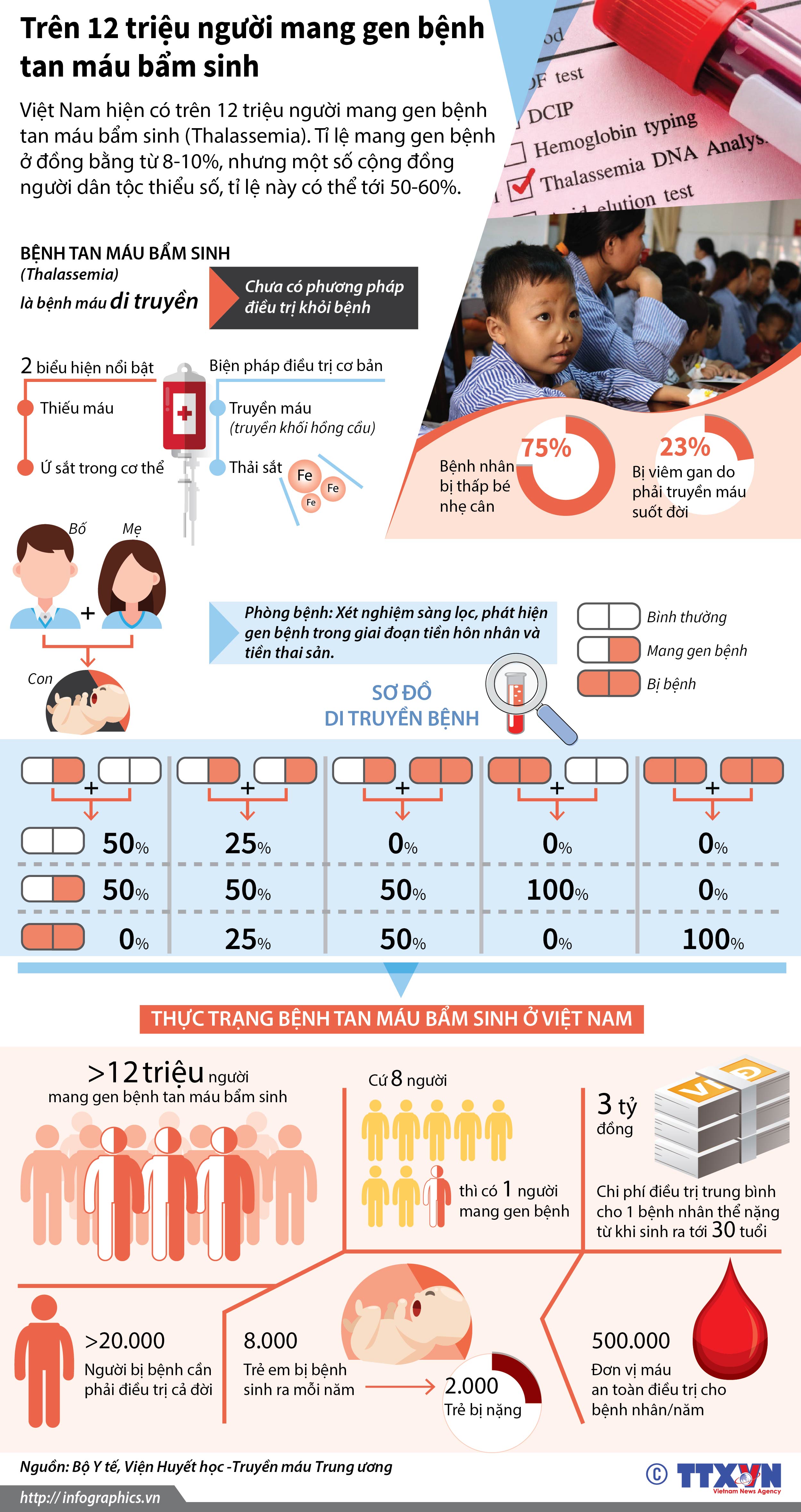 Trên 12 triệu người mang gen bệnh tan máu bẩm sinh