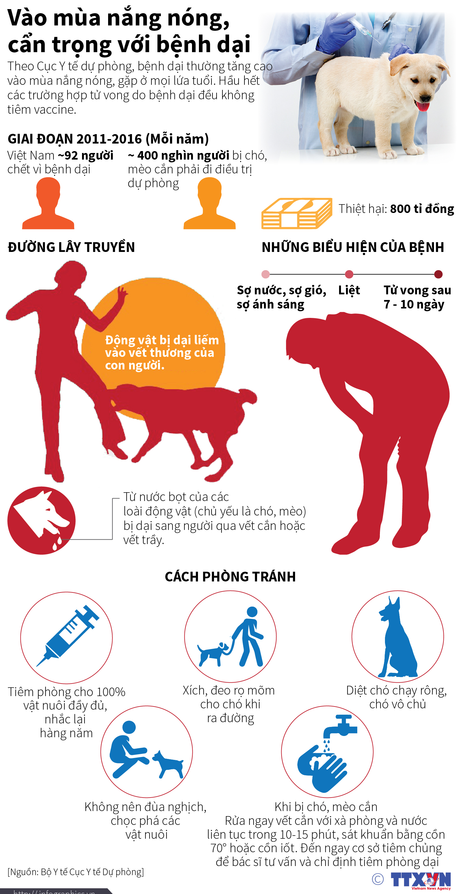 Vào mùa nắng nóng, cẩn trọng với bệnh dại