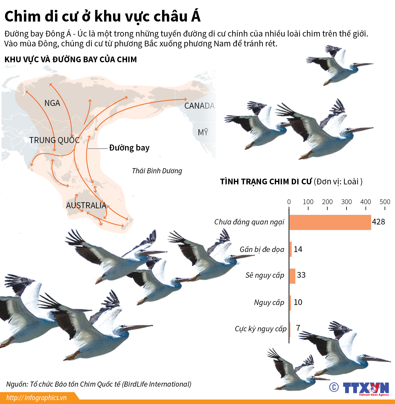 Chim di cư mùa đông