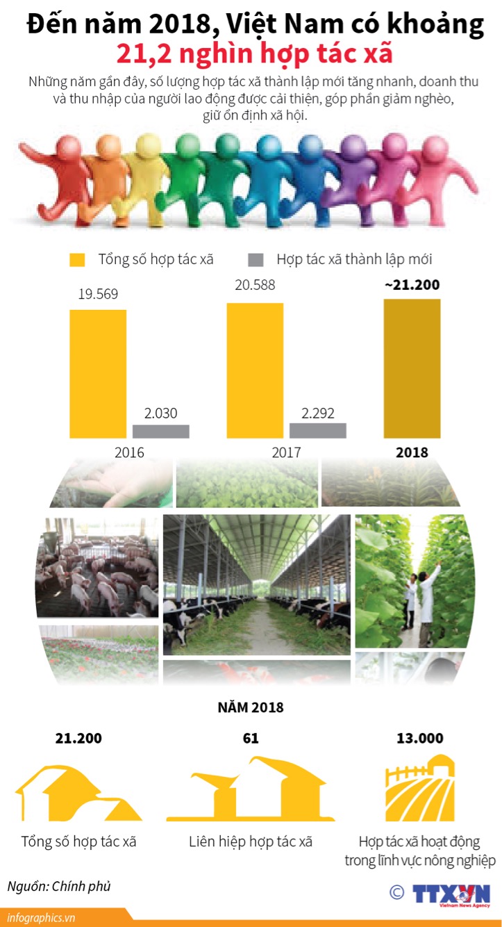 Đến năm 2018, Việt Nam có khoảng 21,2 nghìn hợp tác xã
