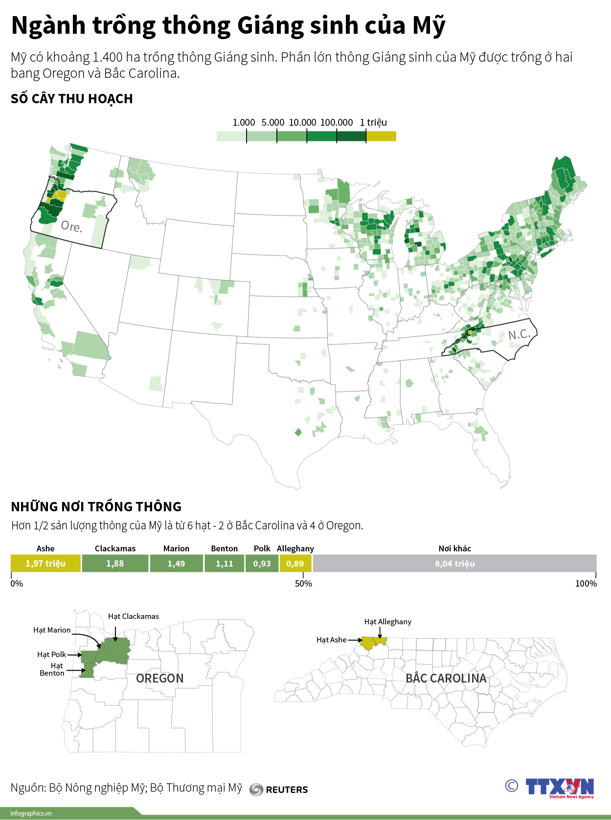 Ngành trồng thông Giáng sinh của Mỹ