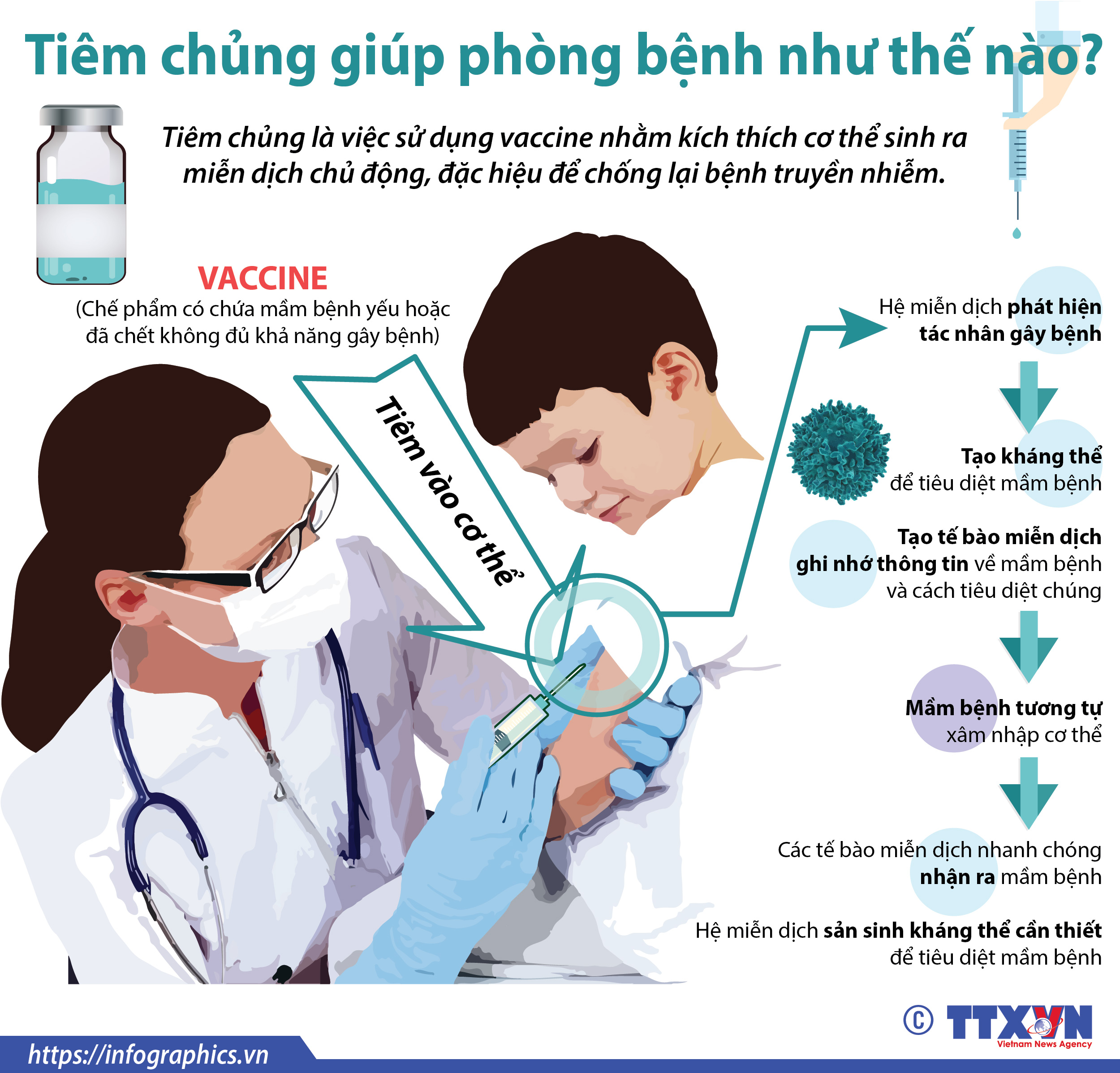 Các Thông tin và Hỗ trợ từ Tổ chức Y tế