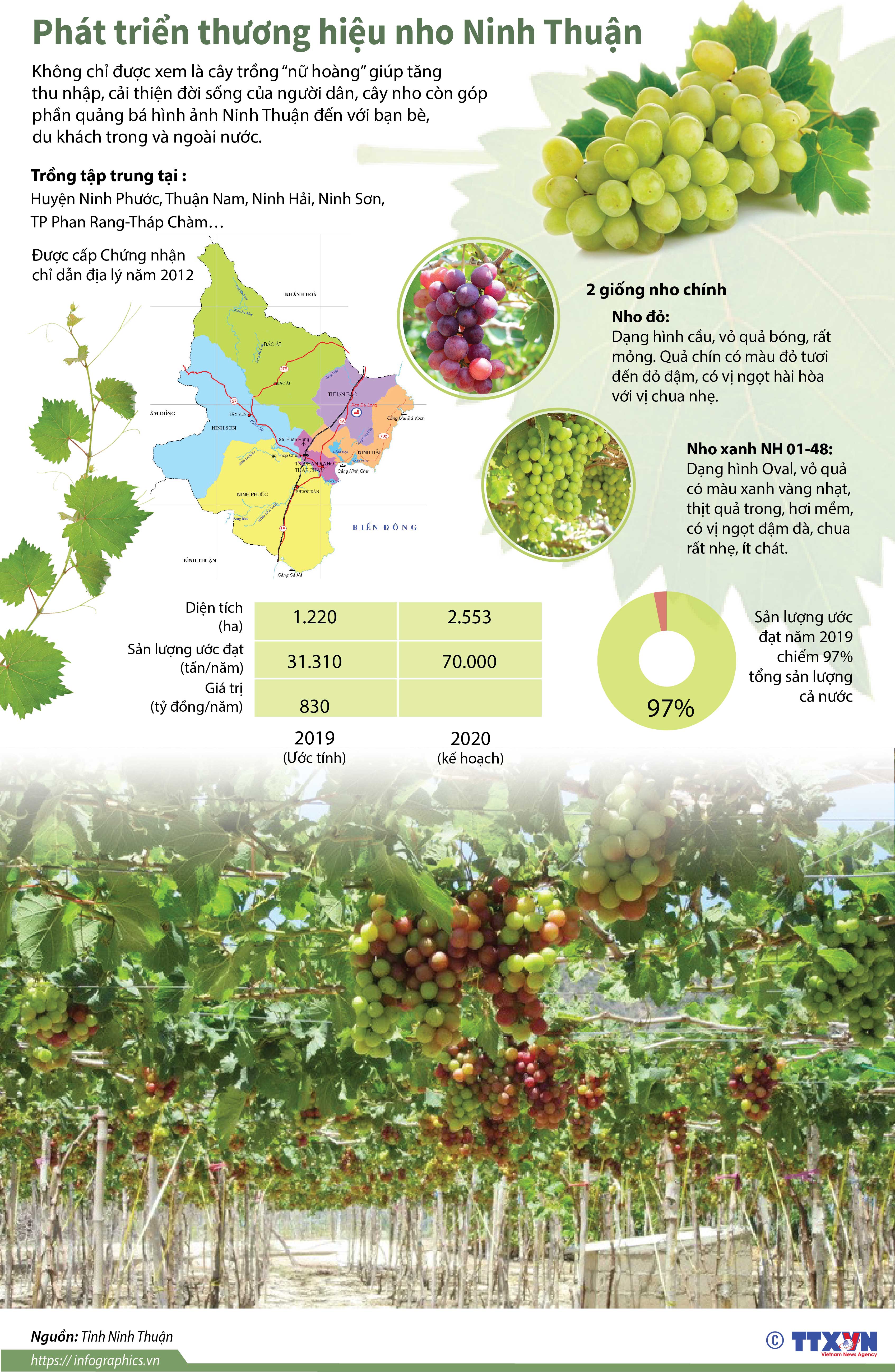Phát triển thương hiệu nho Ninh Thuận