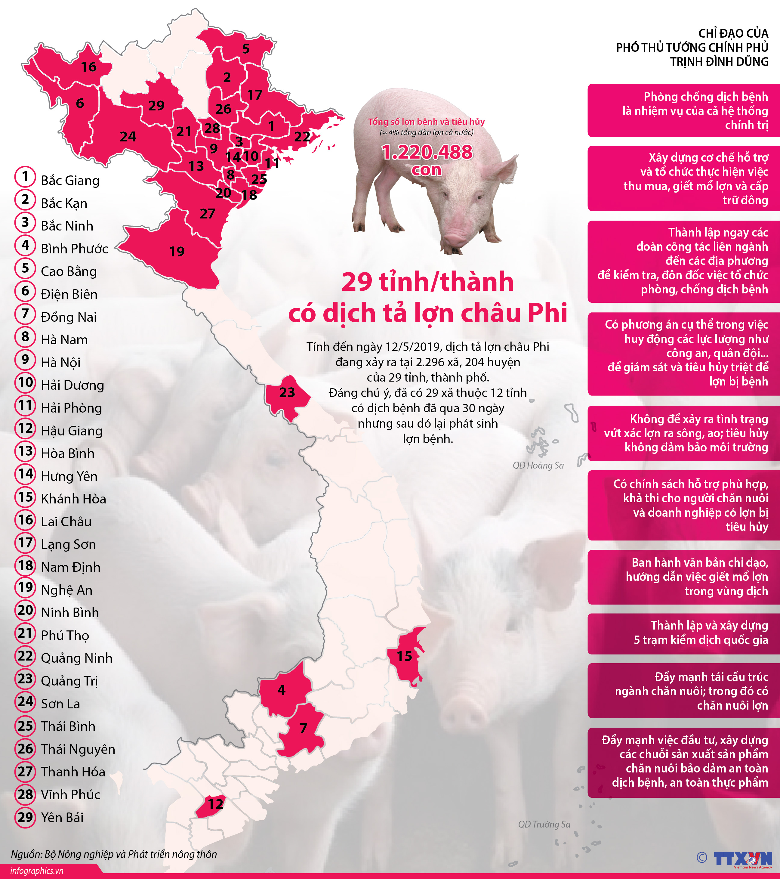 29 tỉnh/thành có dịch tả lợn châu Phi
