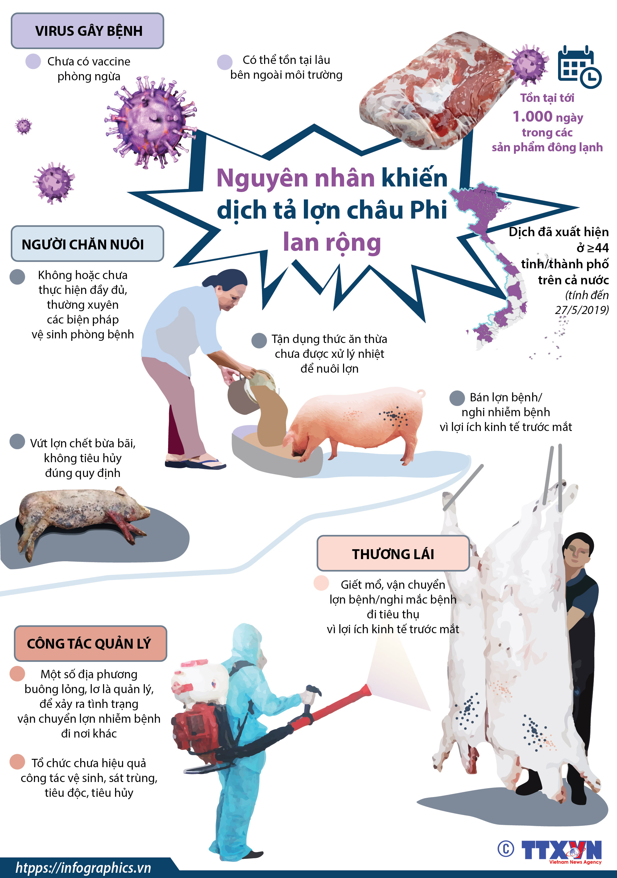Nguyên nhân khiến dịch tả lợn châu Phi lan rộng