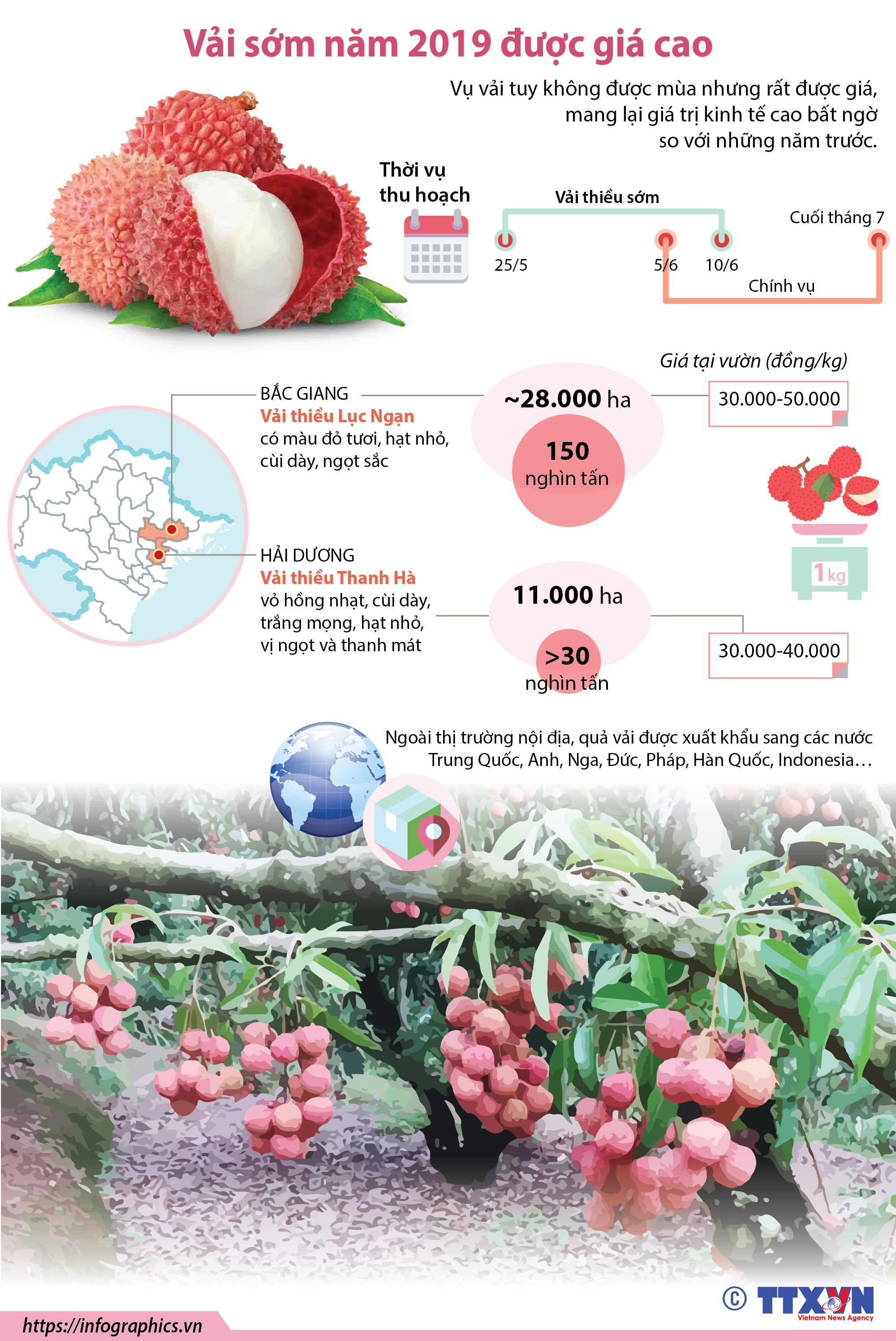 Vải sớm năm 2019 được giá cao