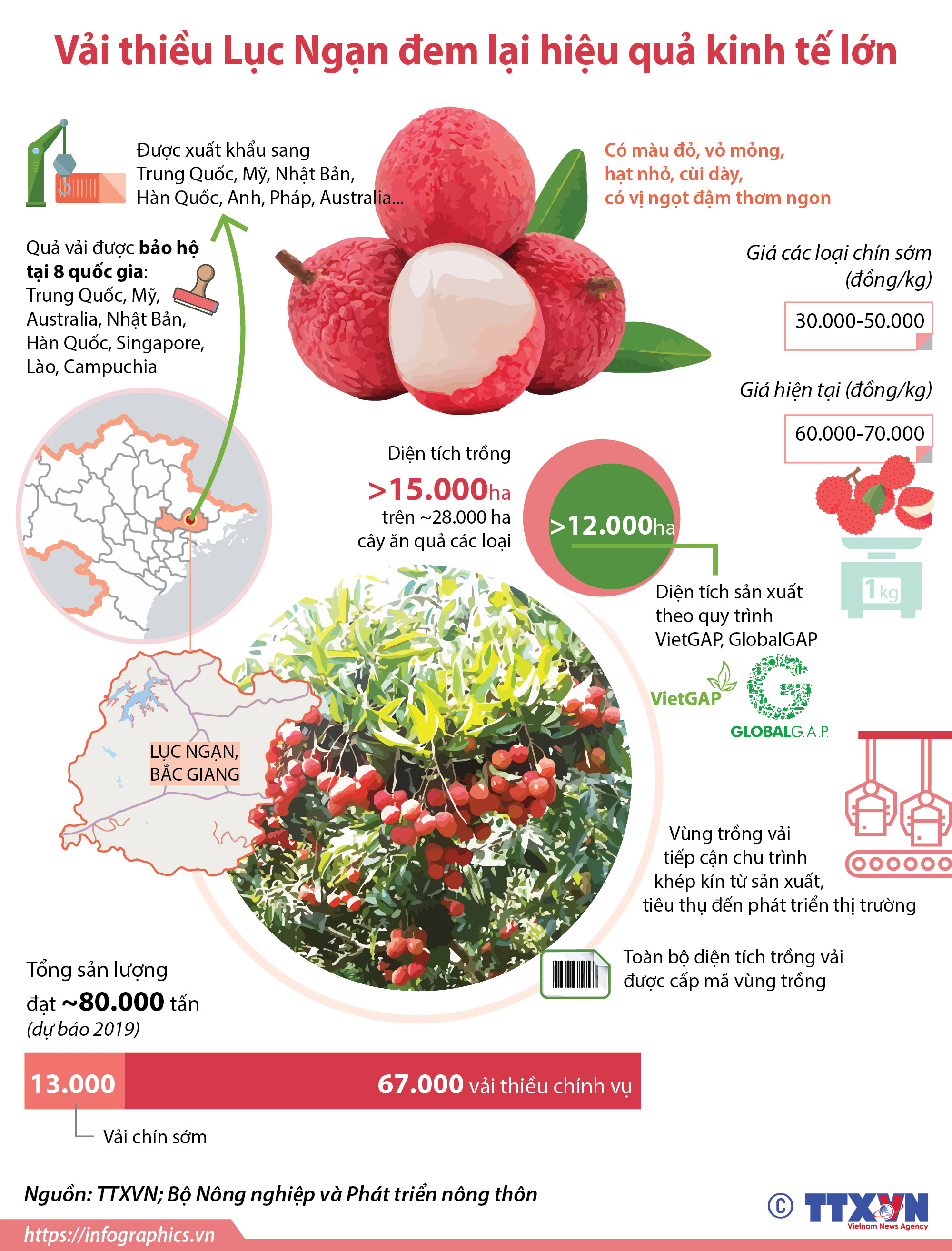  Vải thiều Lục Ngạn đem lại hiệu quả kinh tế lớn 