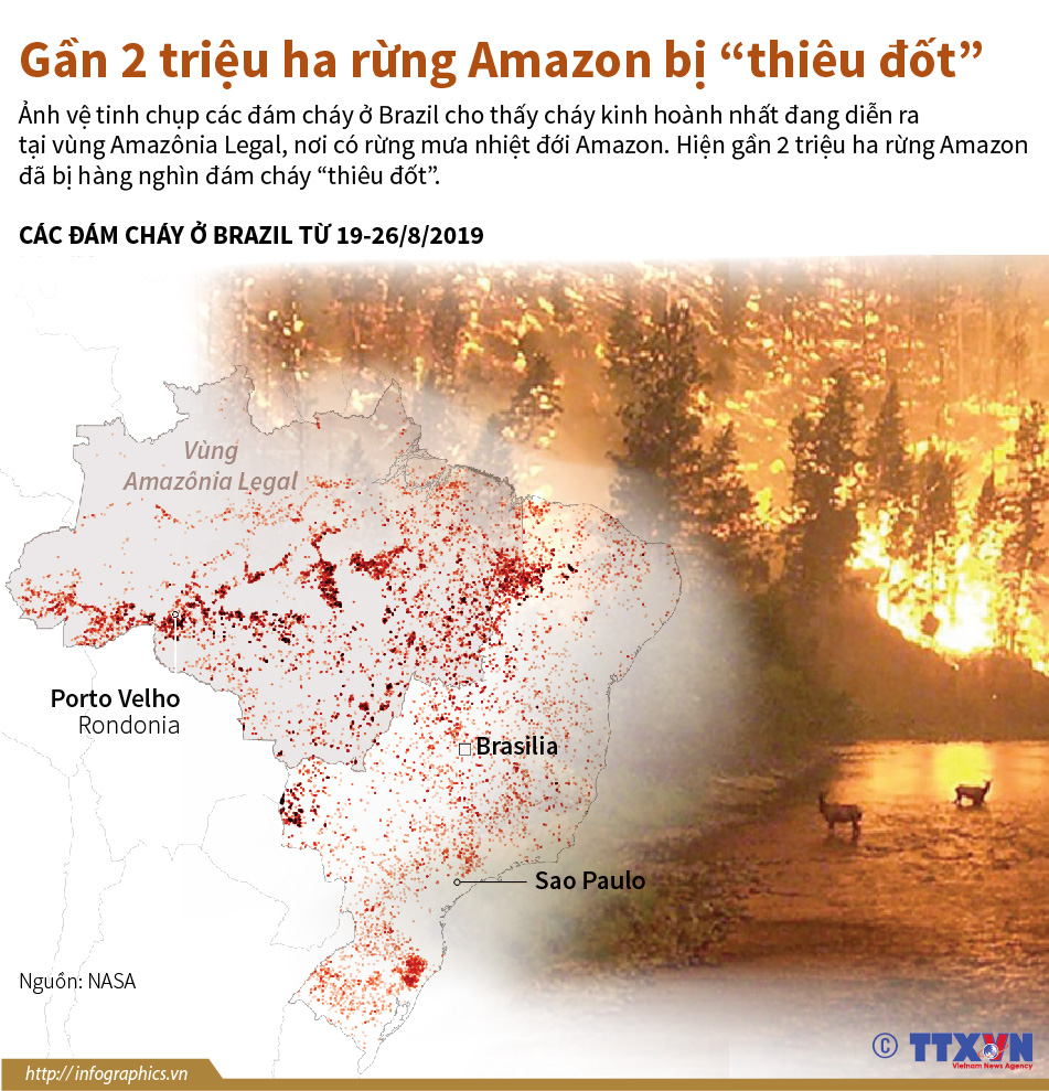 Gần 2 triệu ha rừng Amazon bị “thiêu đốt”