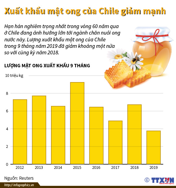 Xuất khẩu mật ong của Chile giảm mạnh