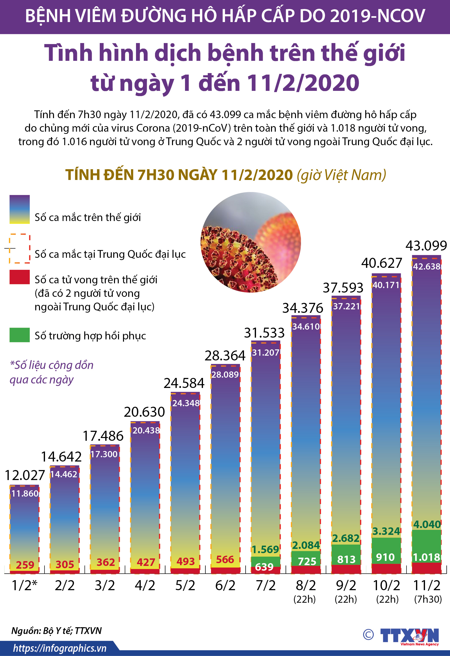 Tình hình dịch bệnh trên thế giới từ ngày 1 đến 11/2/2020