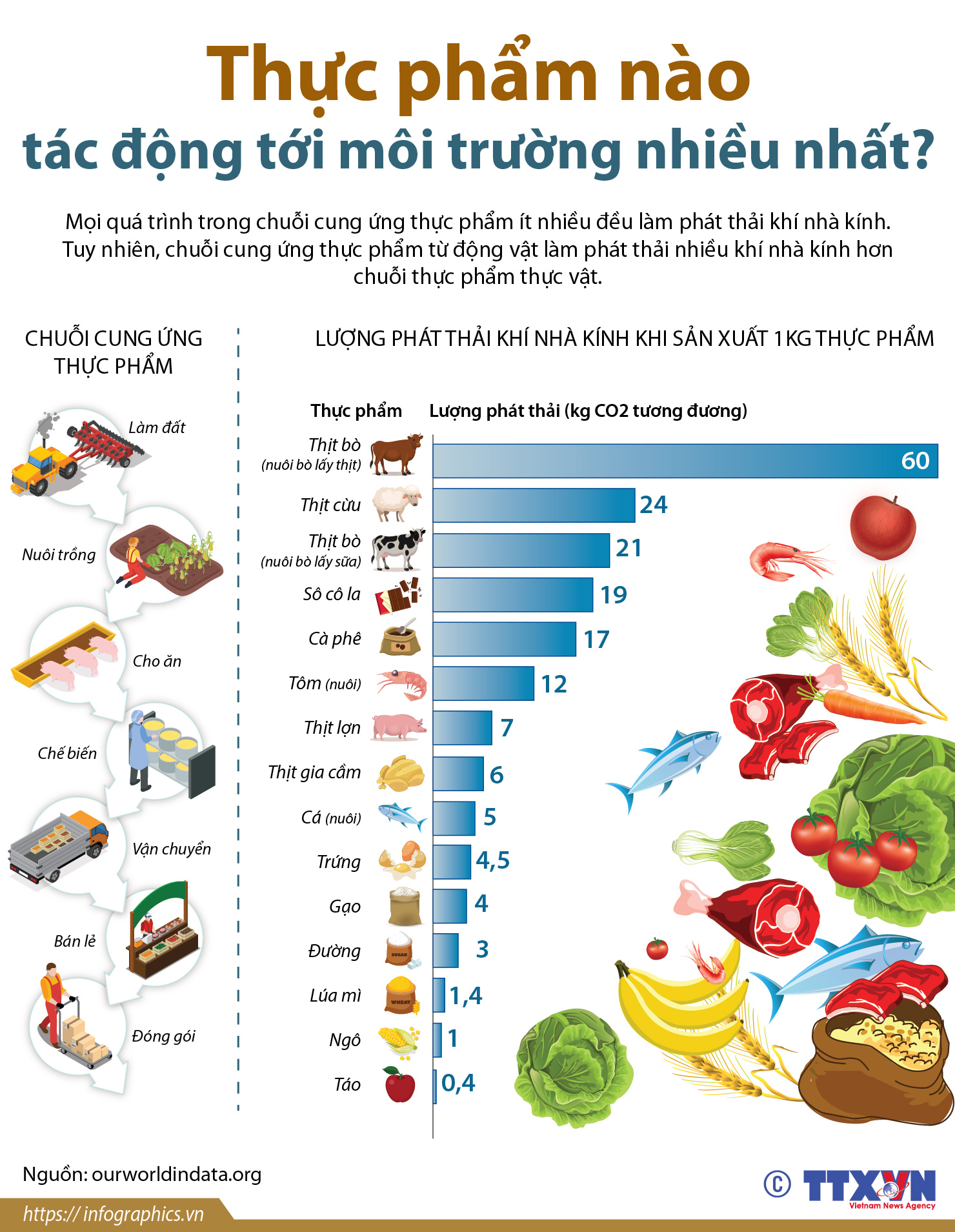Thực phẩm nào tác động tới môi trường nhiều nhất?
