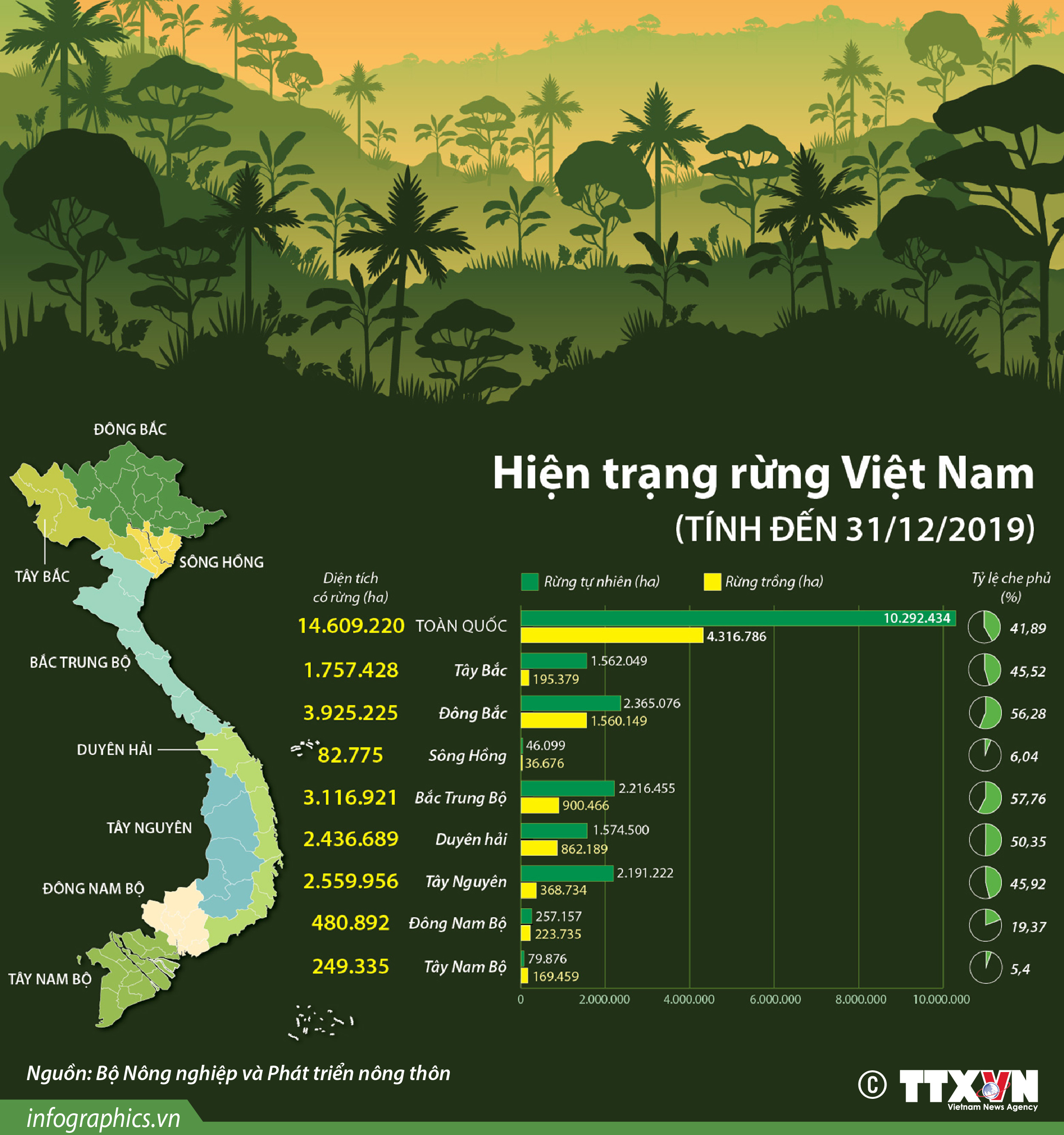 Diện tích Việt Nam 2019: Tổng Quan và Phân Tích Đa Chiều