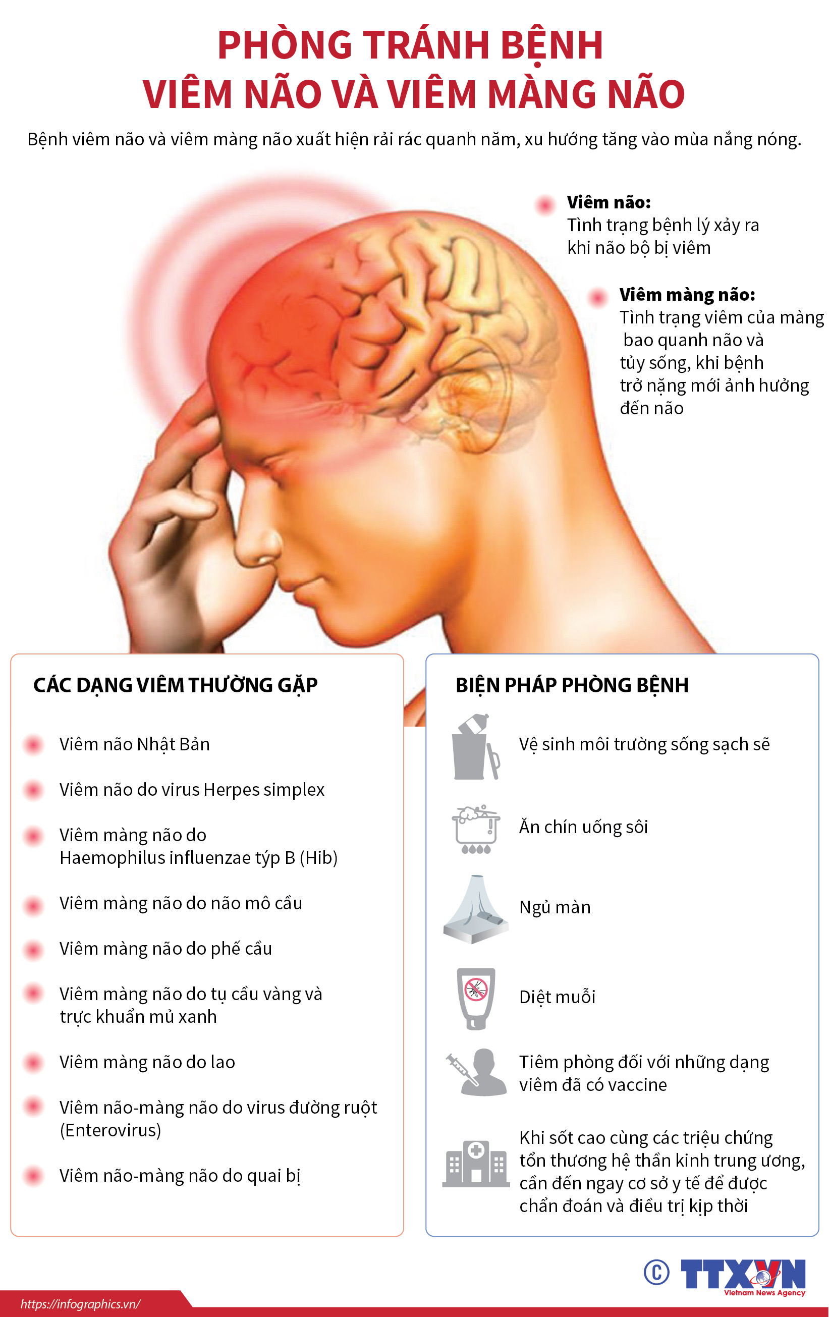 Phòng tránh bệnh viêm não và viêm màng não