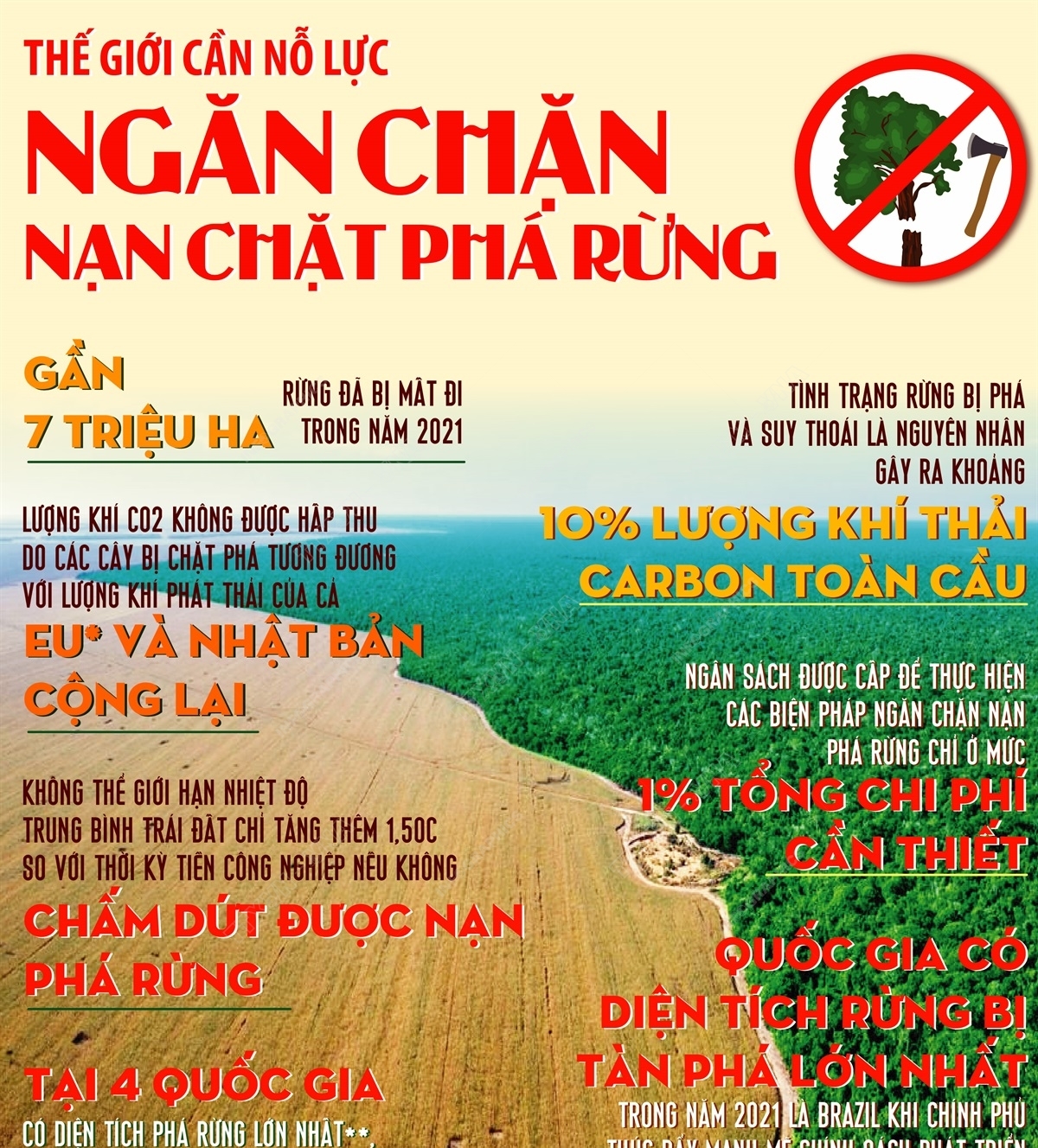 Th Gi i C n N L c Ng n Ch n N n Ch t Ph R ng